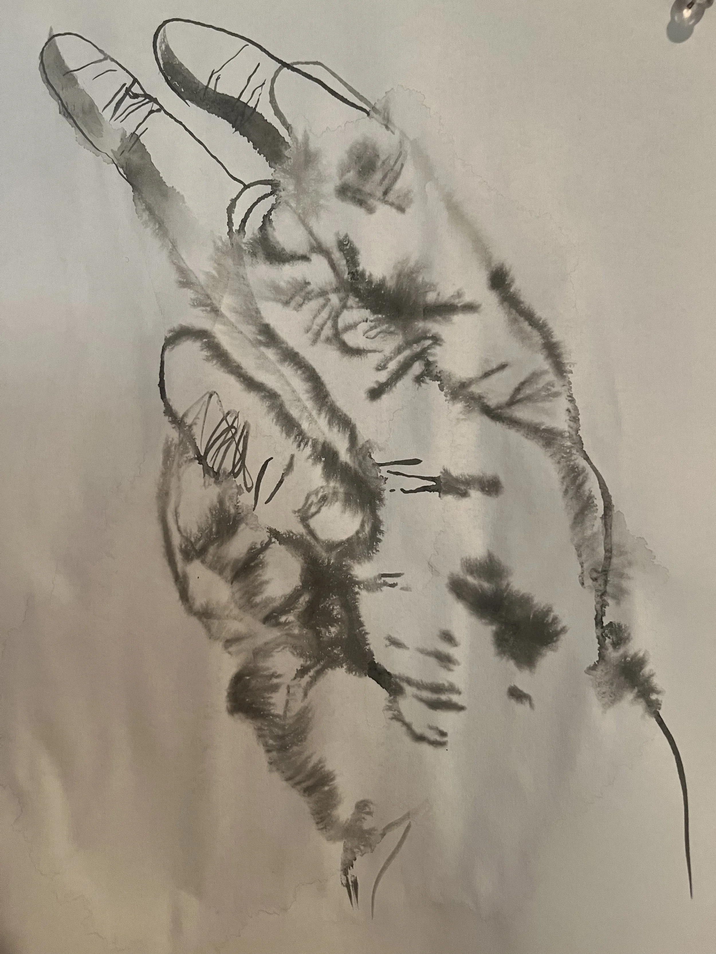 hand5.jpg