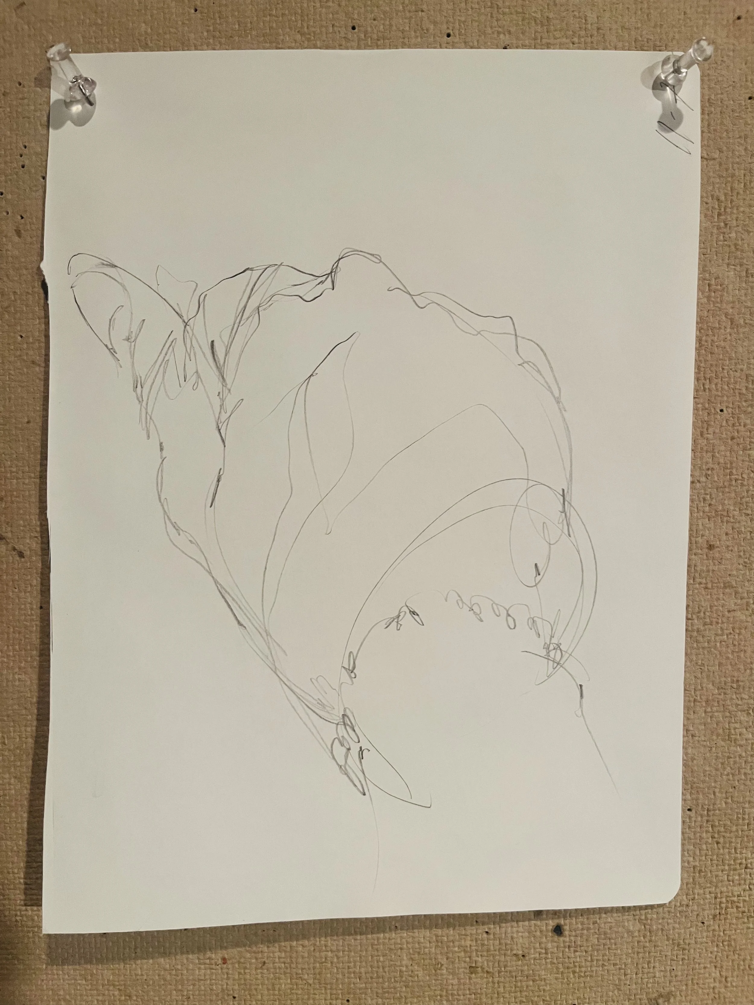 hand8.jpg