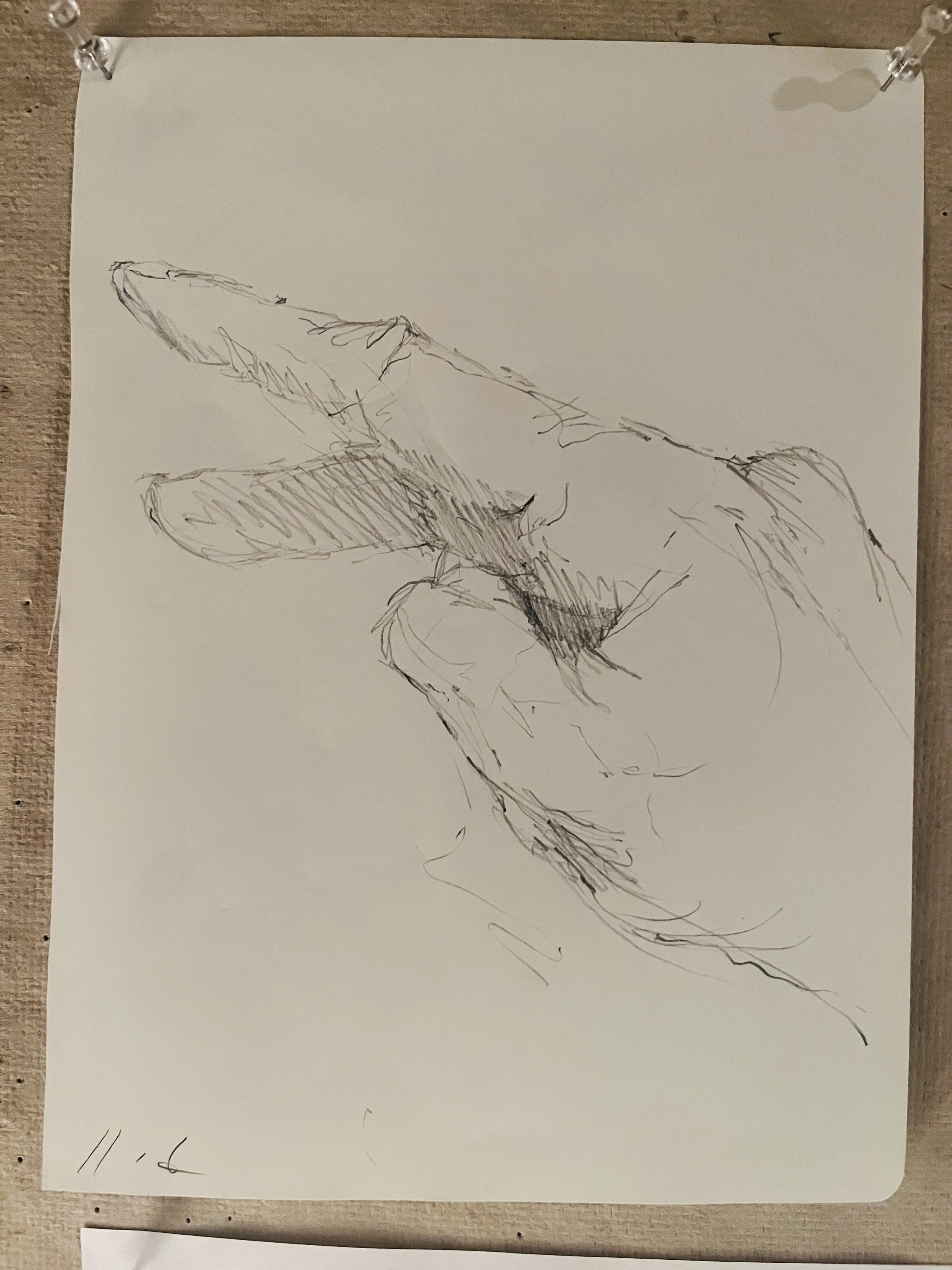 hand13.jpg