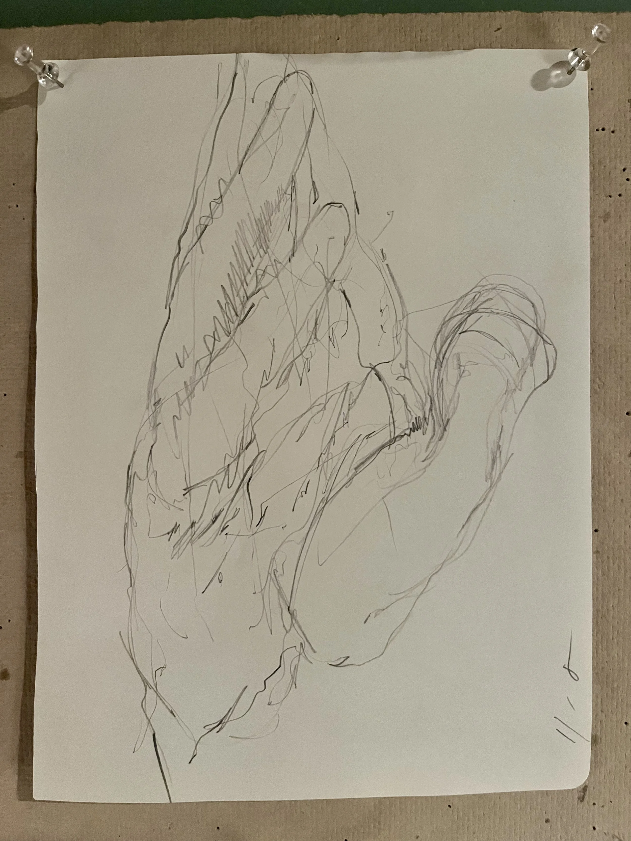hand15.jpg