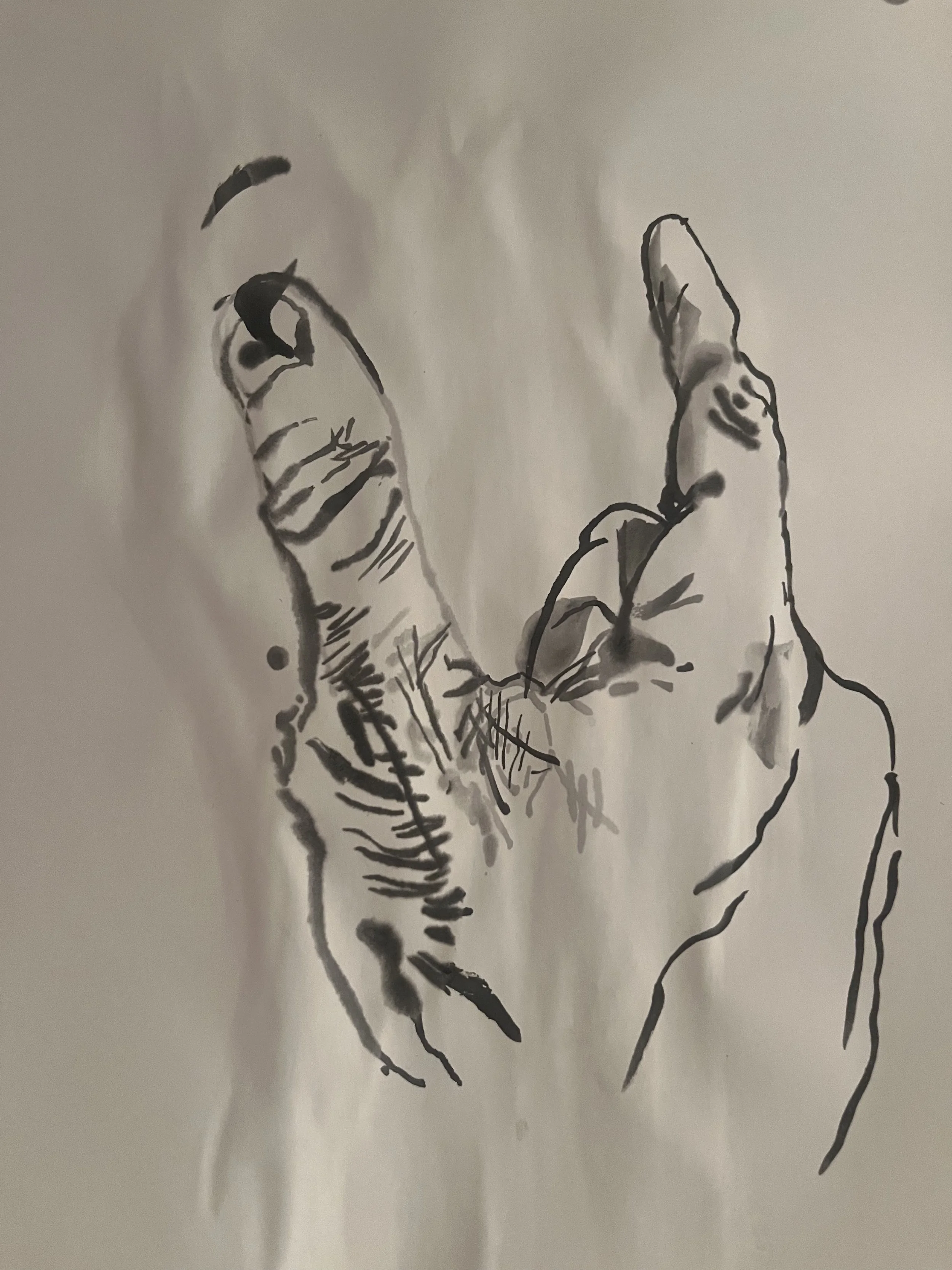 hand17.jpg