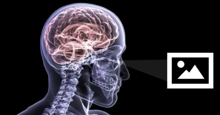 neuroestética1.png