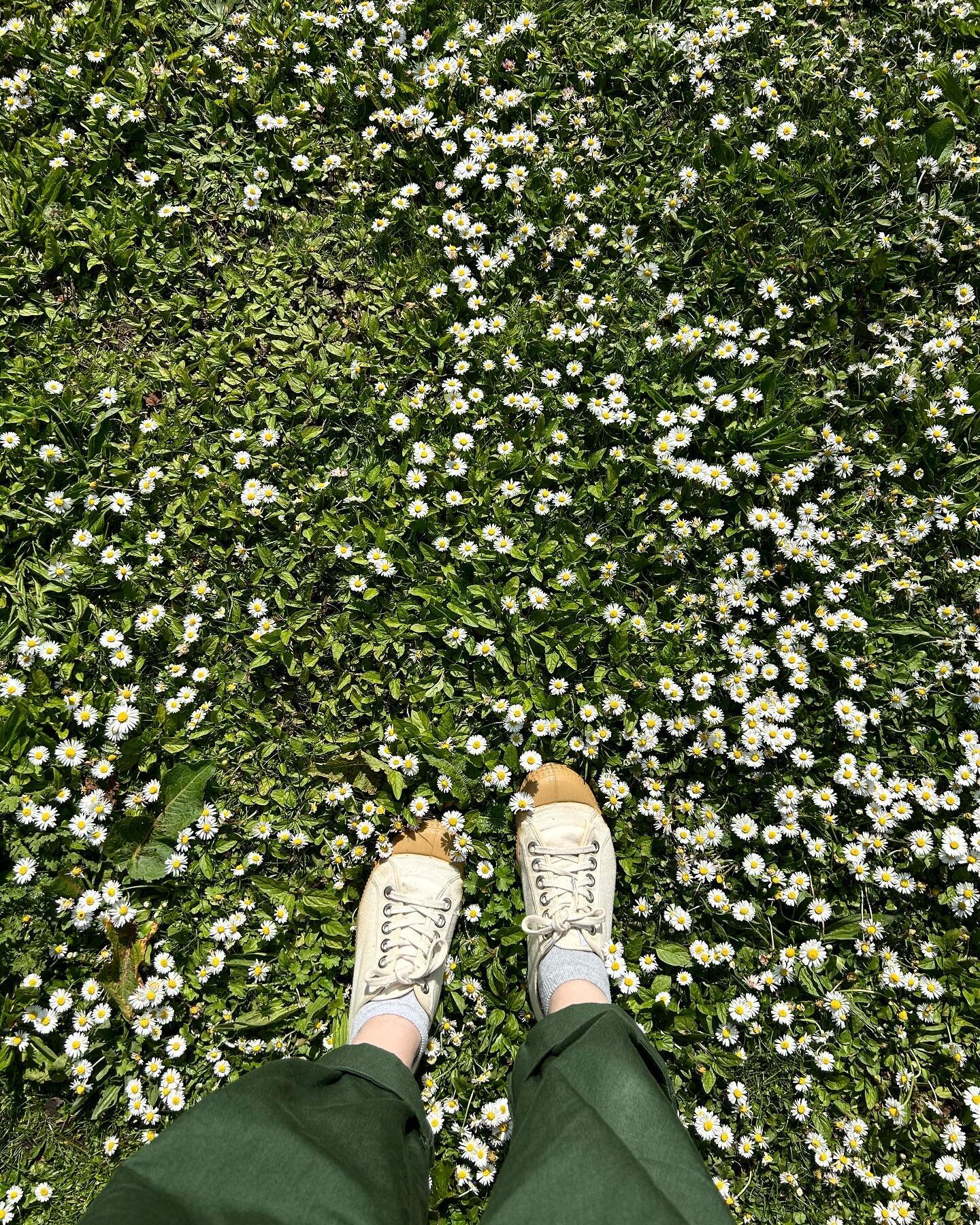 Still on the fence about how I feel about bank holidays. Less paid work, more unpaid work 🤷🏼&zwj;♀️

But this weekend was pretty lovely all round. 

[image description] feet in cream trainers and green trousers on green grass covered in daisies
