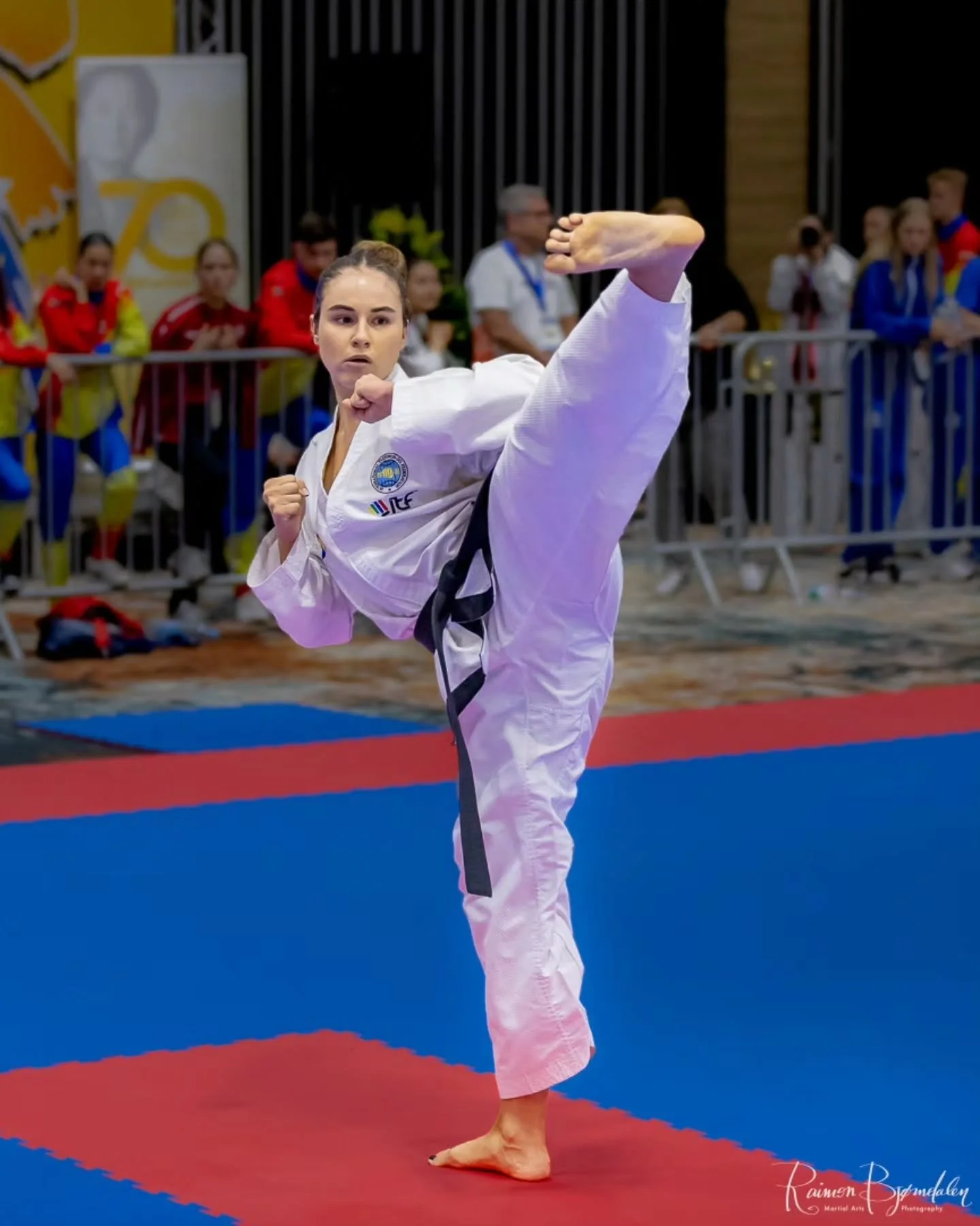 Let's kick off the Easter week with some great kicking 😎
&bull;
&bull;
&bull;
&bull;
#itftaekwondo #martialarts #kicking