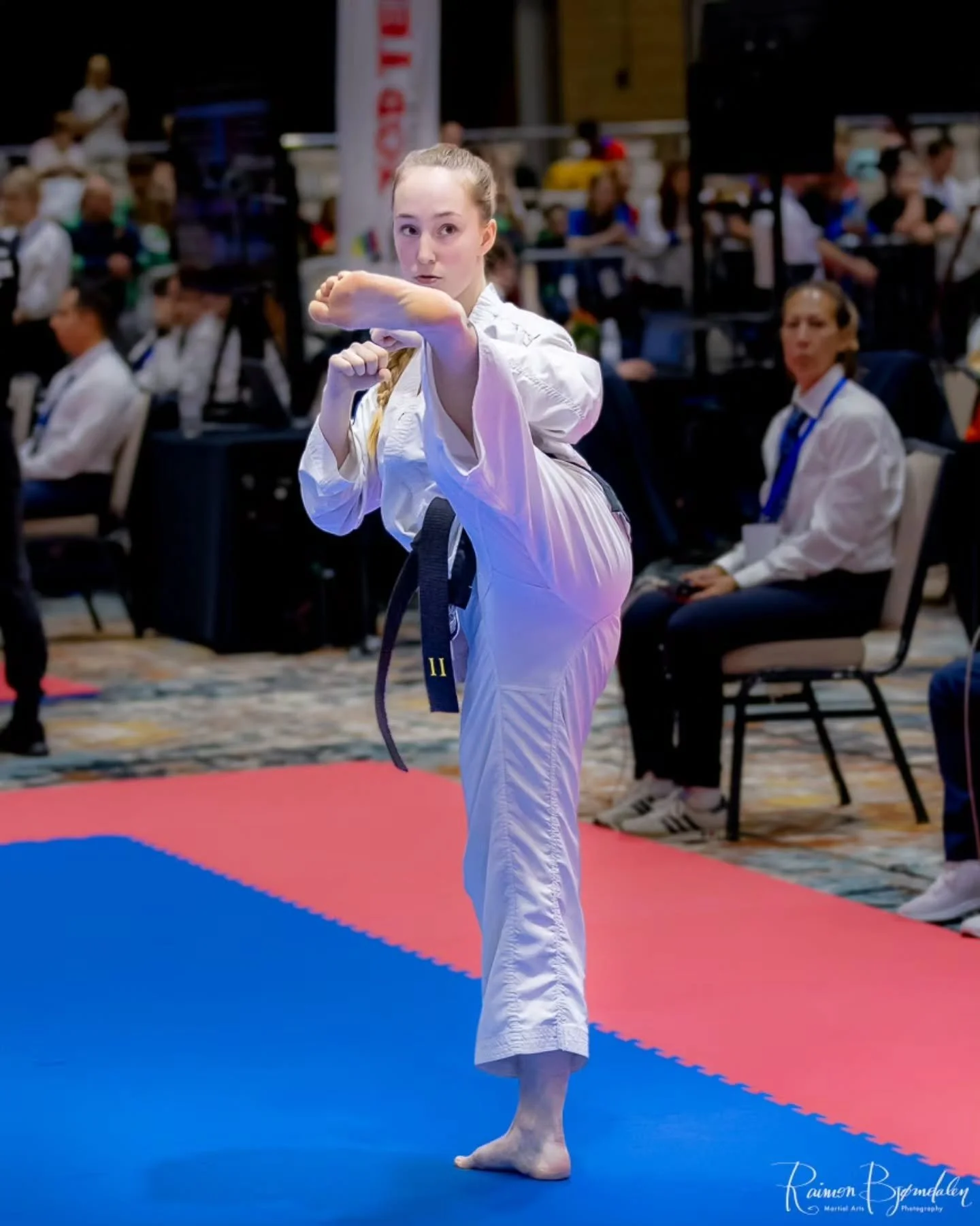 Do the work and you'll kick as easy as these two make it seem 👌
&bull;
&bull;
&bull;
&bull;
#itftaekwondo #martialarts ##kickgirls