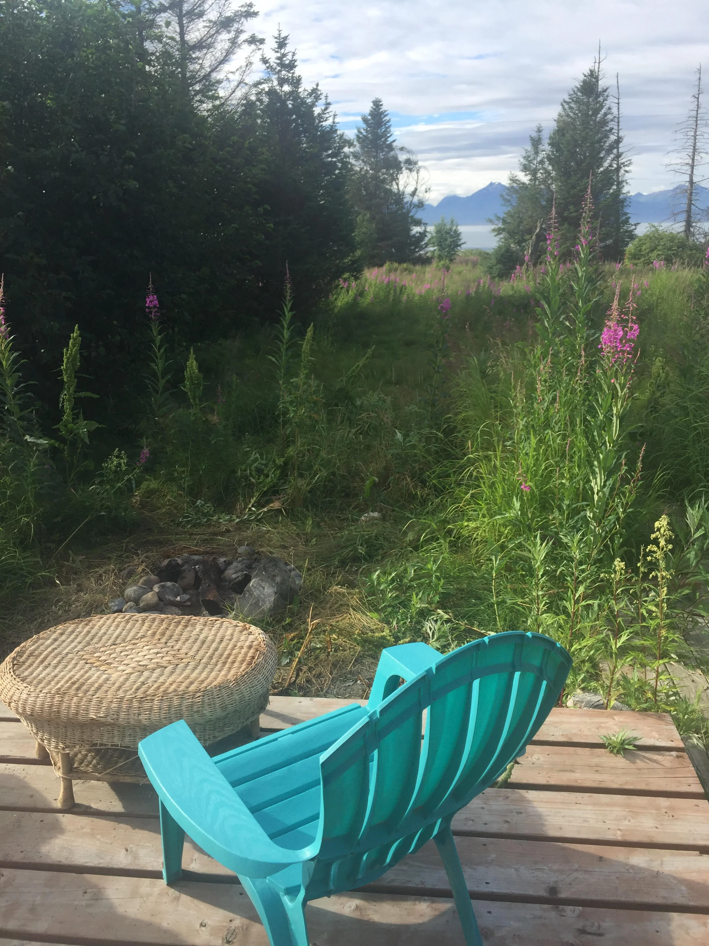 Yurt View.jpg