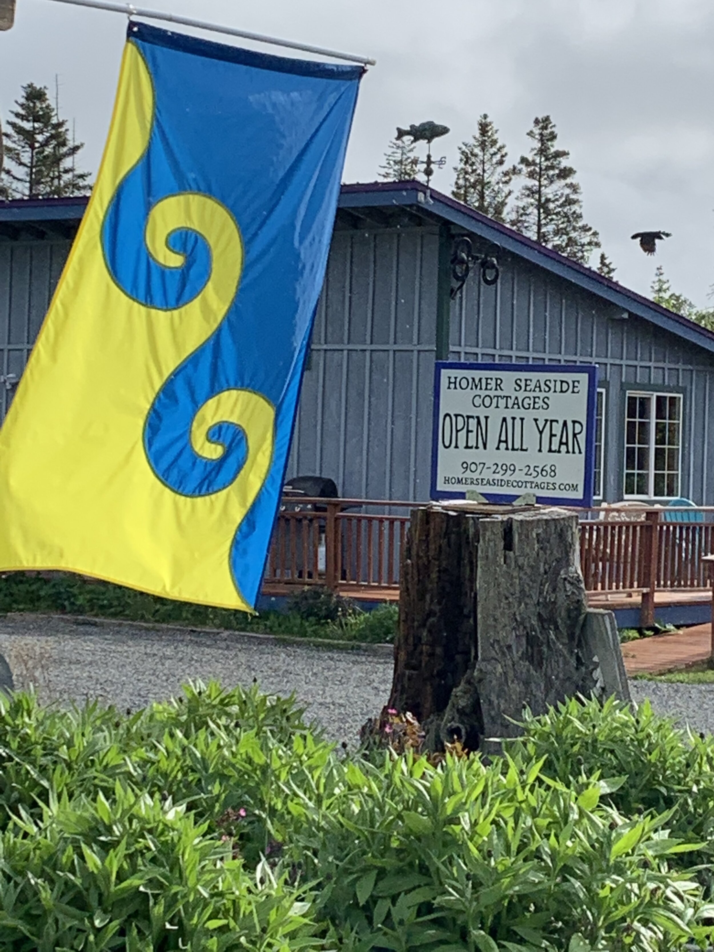 Homer Seaside Cottages In Majestic Homer Alaska 907 299 2568