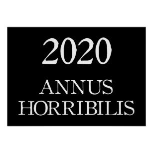 2020&nbsp;: Annus Horribilis&nbsp;!