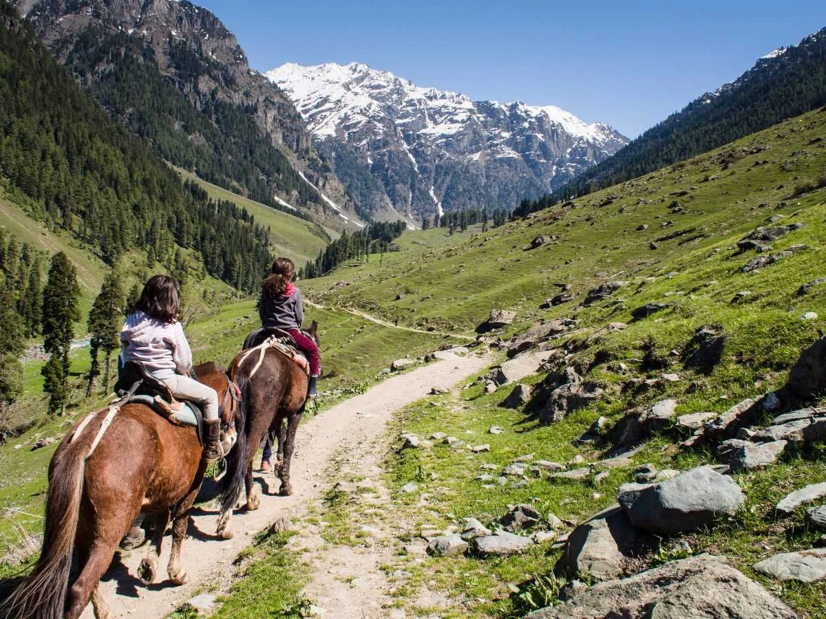 India’s Kashmir a Target of Islamic Terrorism