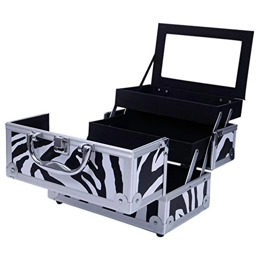 ALUMINUM MAKEUP TRAIN CASE WITH MIRROR FOR $22.99