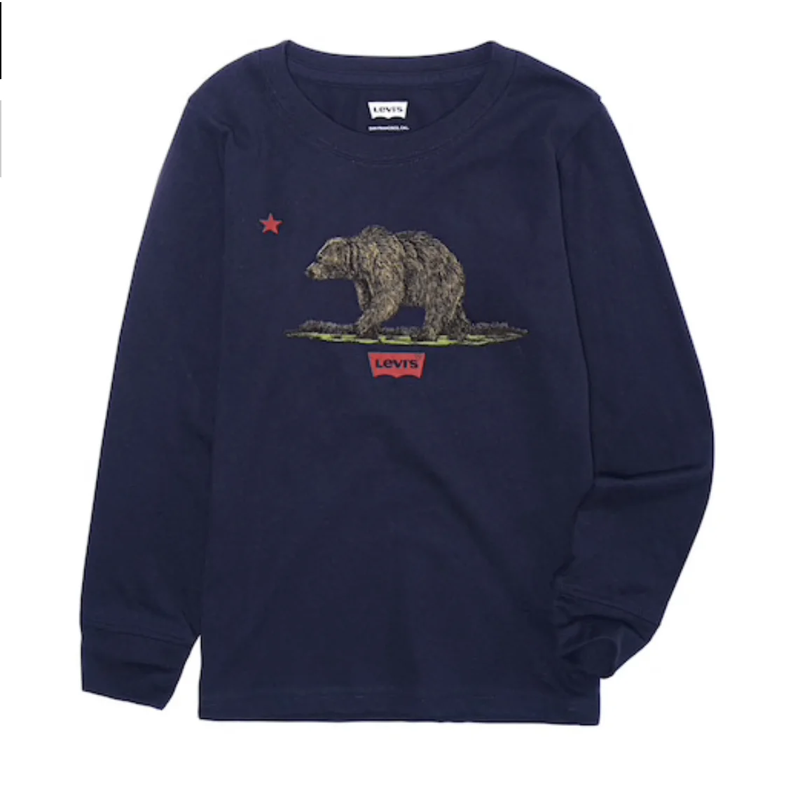 LEVI’S BOYS BATWING BEAR SWEATSHIRTS FOR $9.99