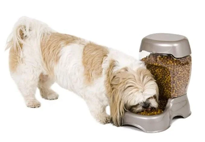 PETMATE PET CAFÉ AUTOMATIC FEEDER FOR $8.49