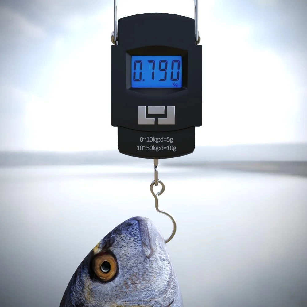 ELECTRONIC FISHING SCALE FOR $11.39