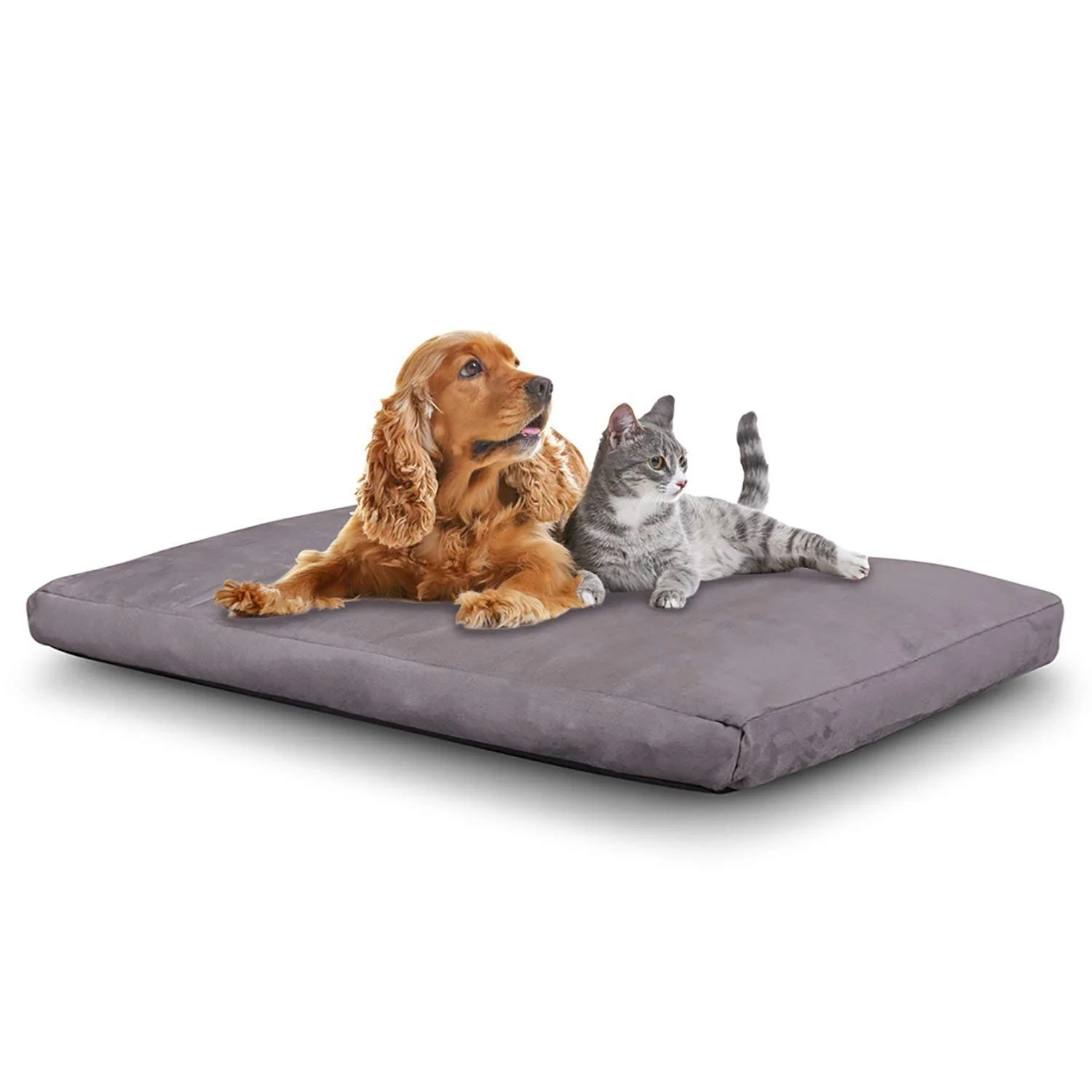 EXTRA LARGE COMFORT &amp; RELAX MEMORY FOAM PET BED/MATTRESS FOR $21.00