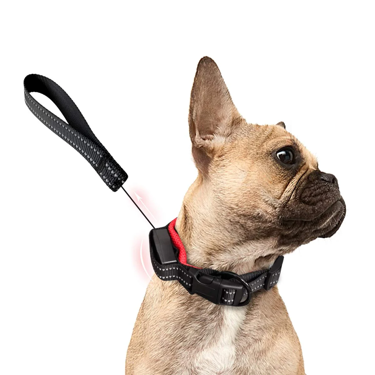RETRACTABLE DOG COLLAR &amp; COLLAR COMBO FOR $4.40