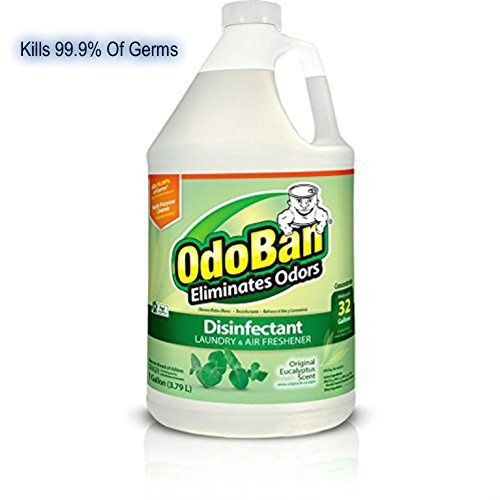 1-GALLON BOTTLES OF ODOBAN DISINFECTANT ODOR ELIMINATOR &amp; ALL-PURPOSE CLEANER FOR $8.98