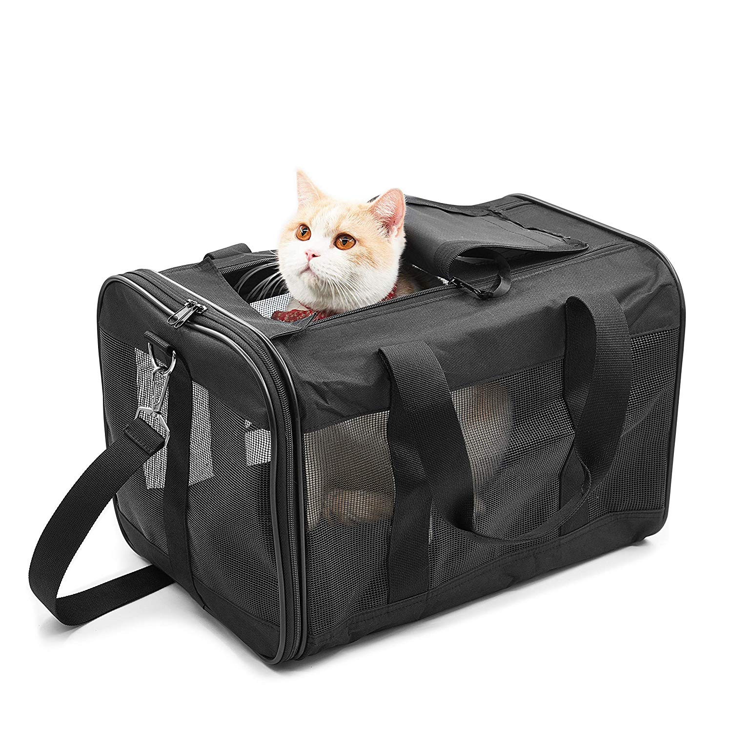 PET TRAVEL CARRIER FOR $10.99