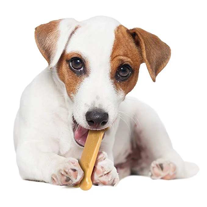 NYLABONE DURA CHEW PETIT BACON FLAVORED DOG CHEW TOY FOR $1.91