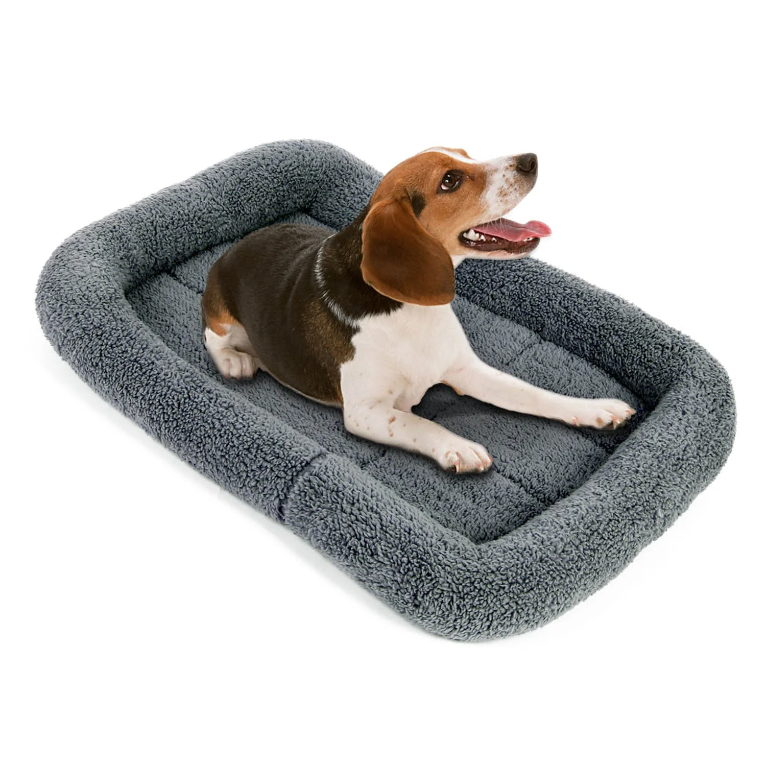 DOG BED FOR $12.00