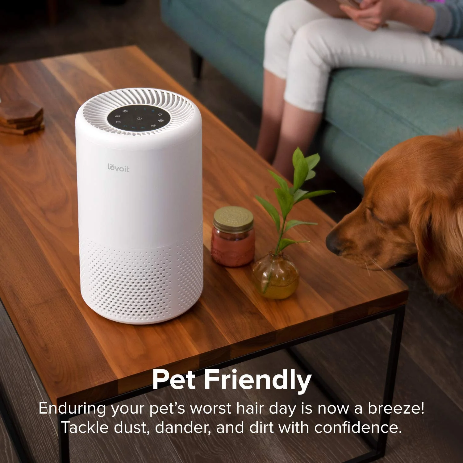 AIR PURIFIER WITH TRUE HEPA FILTER FOR $54.99