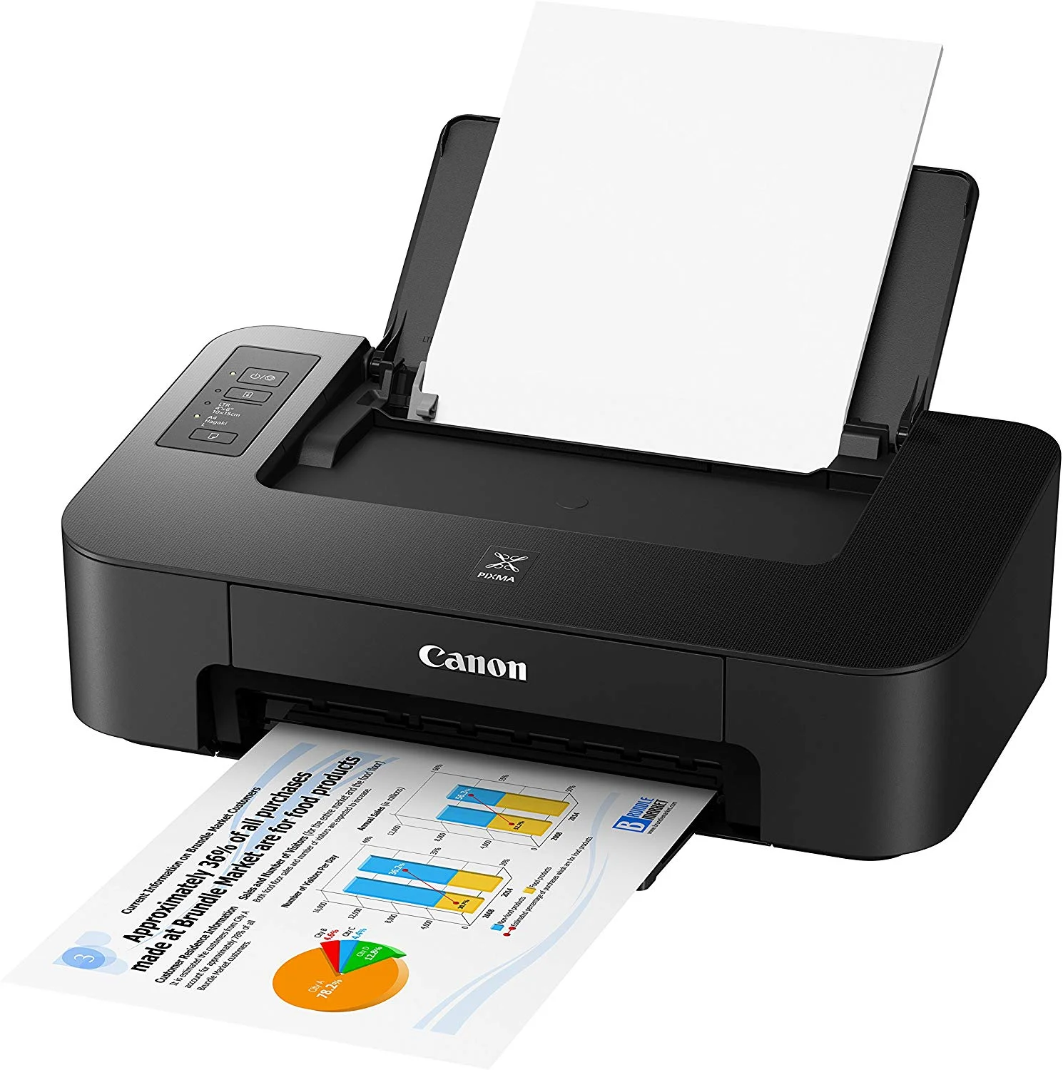 CANON INKJET PHOTO PRINTER FOR $29.99