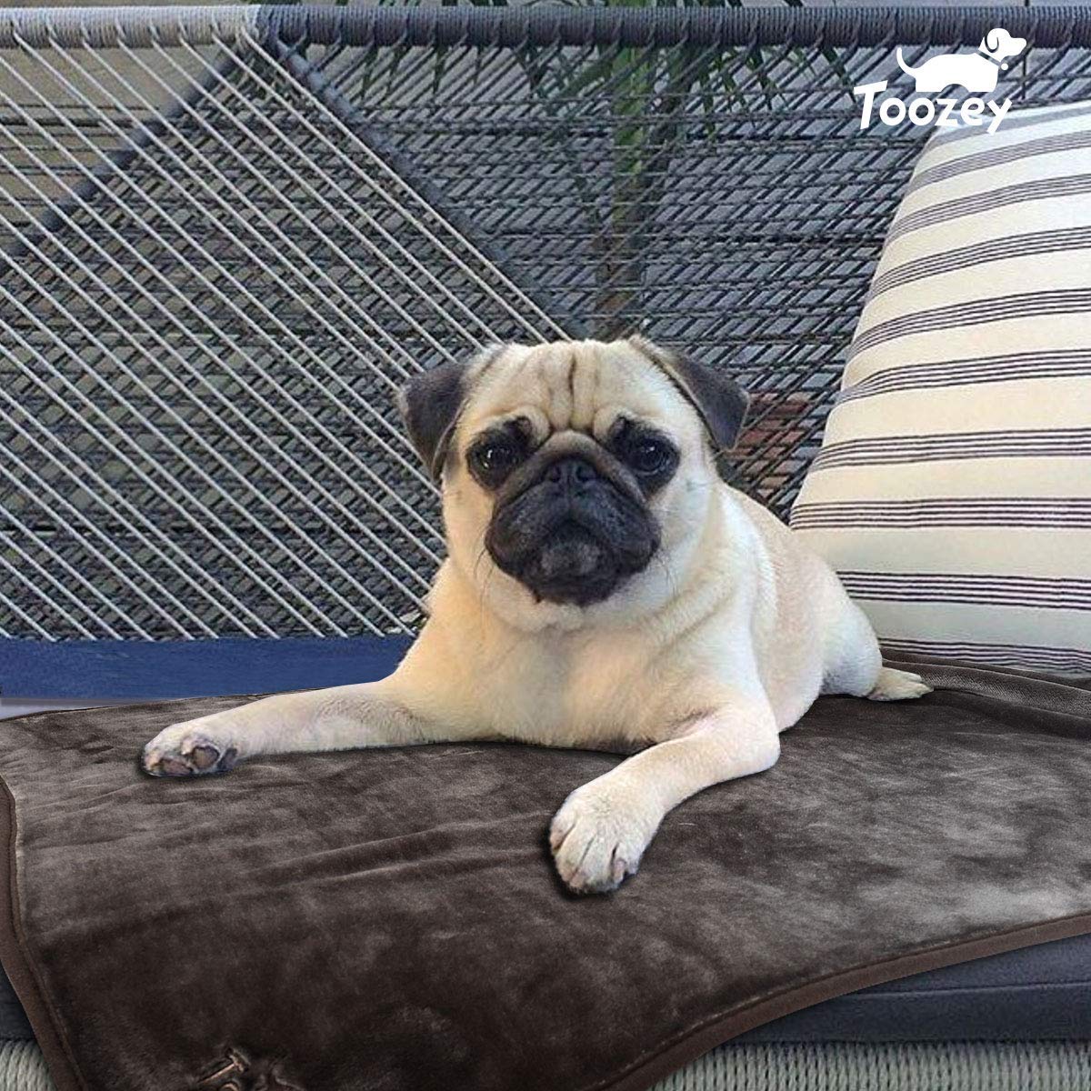 SUPER SOFT REVERSIBLE PLUSH PET BLANKET FOR $11.08