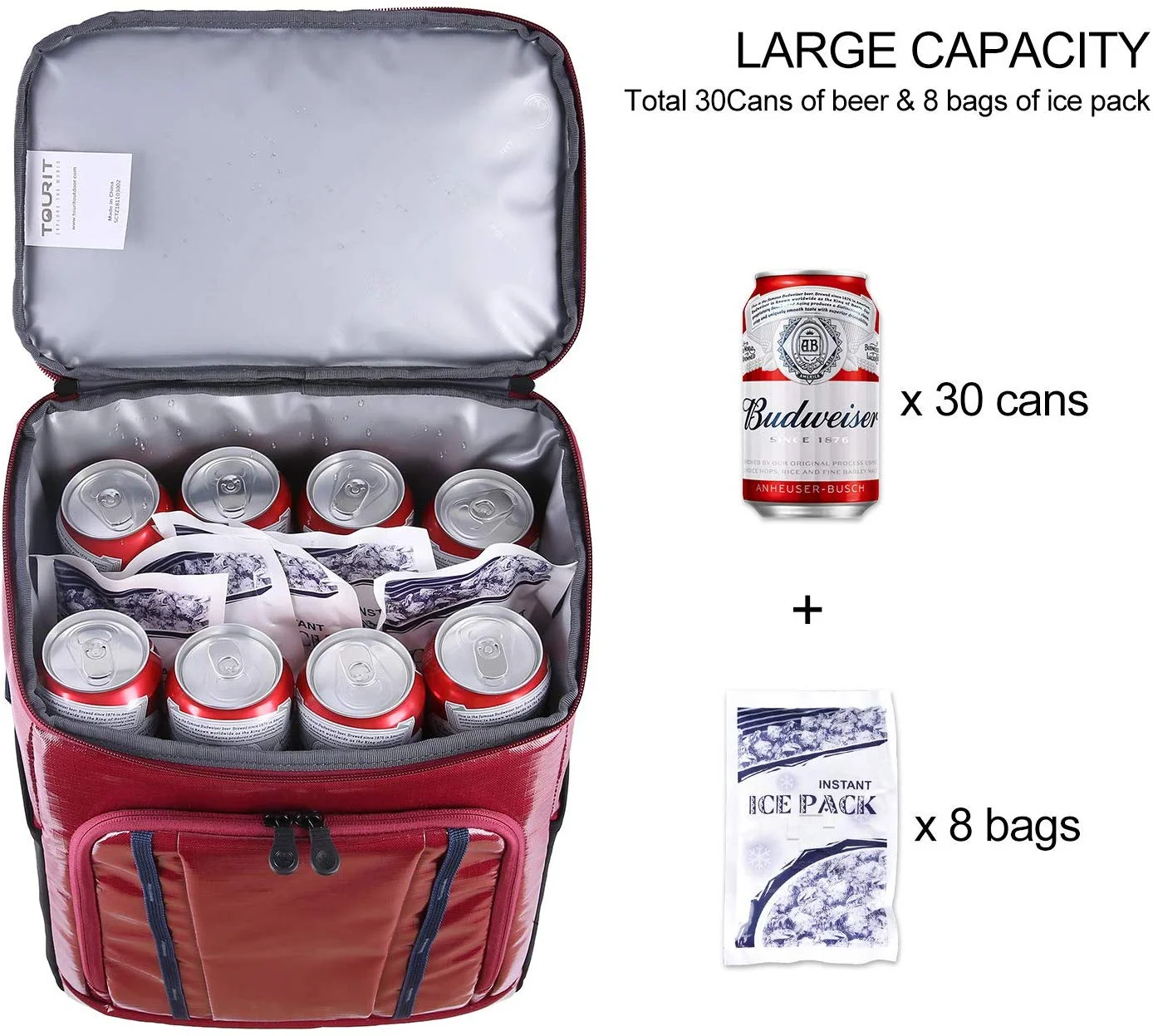 INSULATED COOLER BACKPACK FOR $14.10