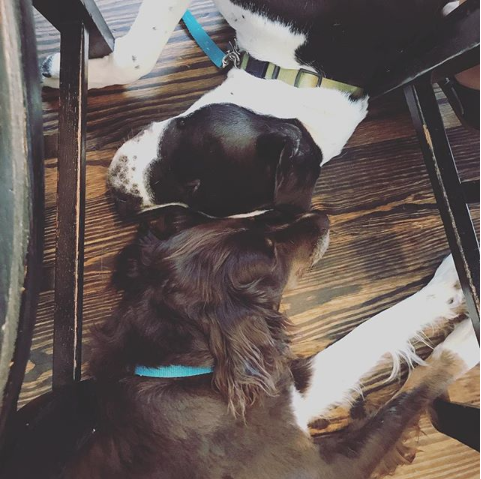 Yin (Miles) + Yang (McCray)