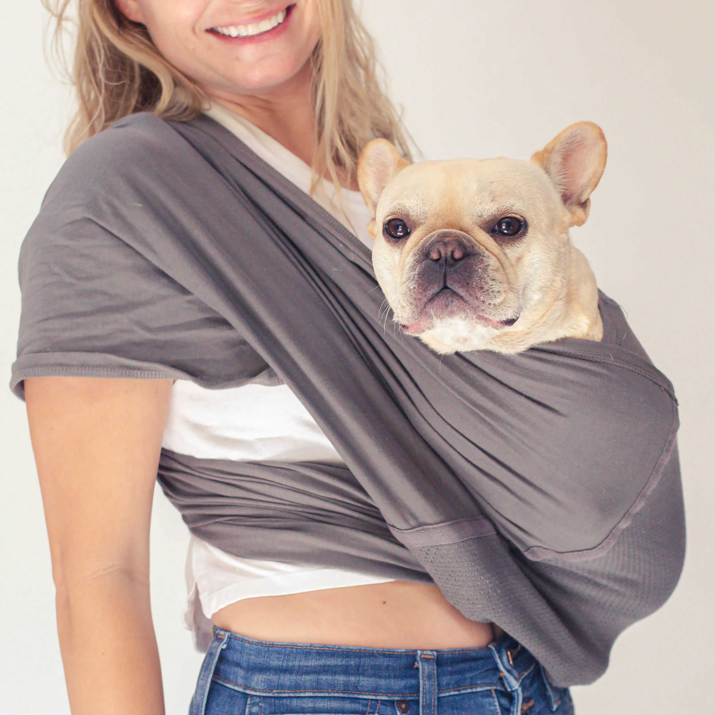 frenchie dog carrier