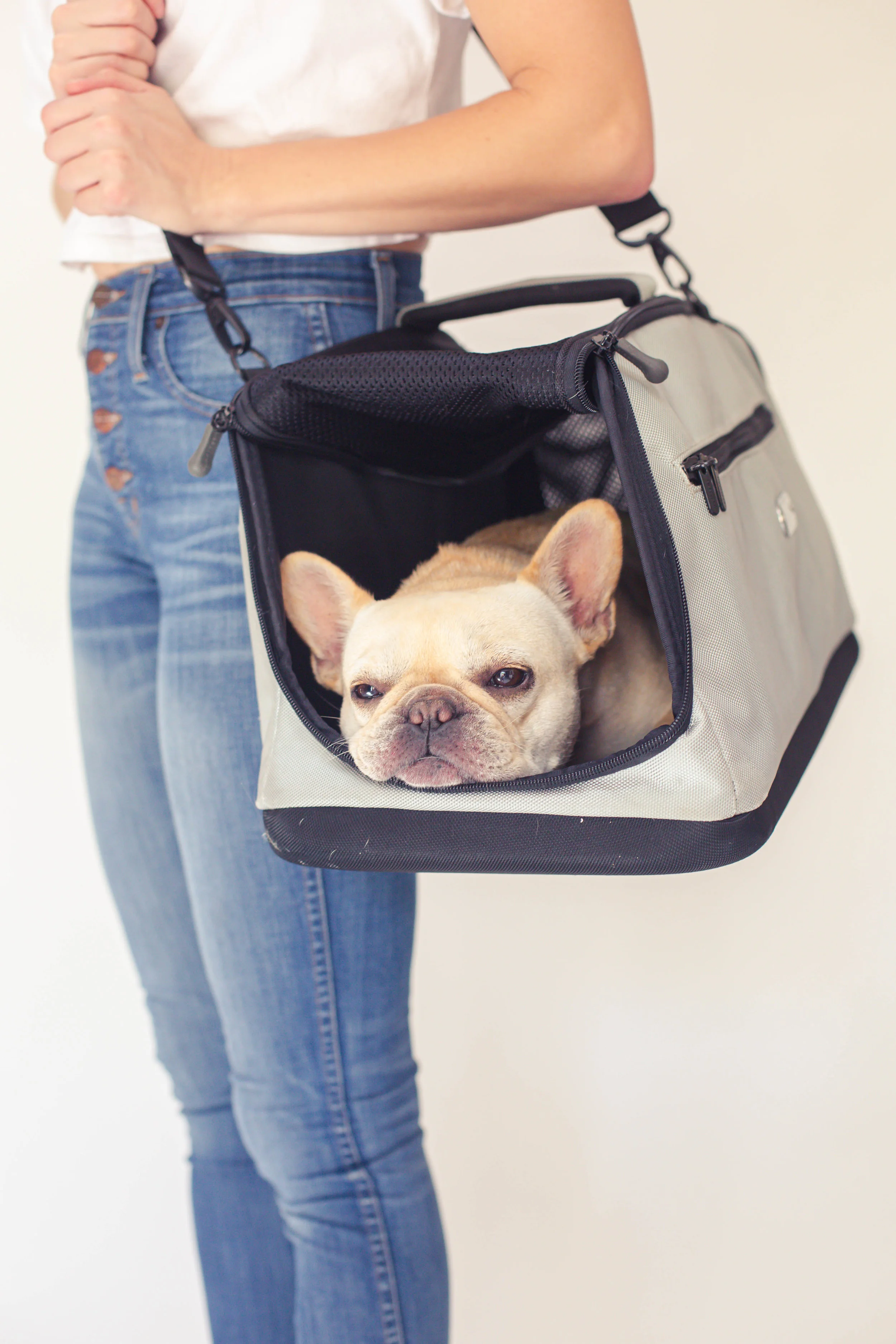 frenchie dog carrier