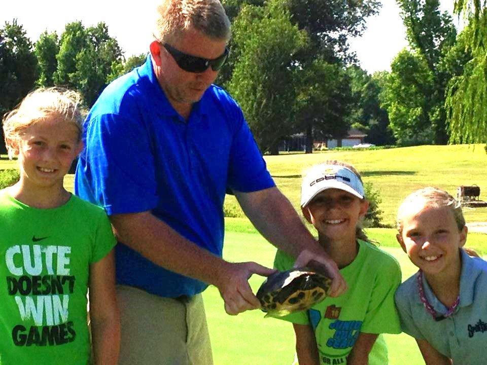 Turtle gallery.jpg