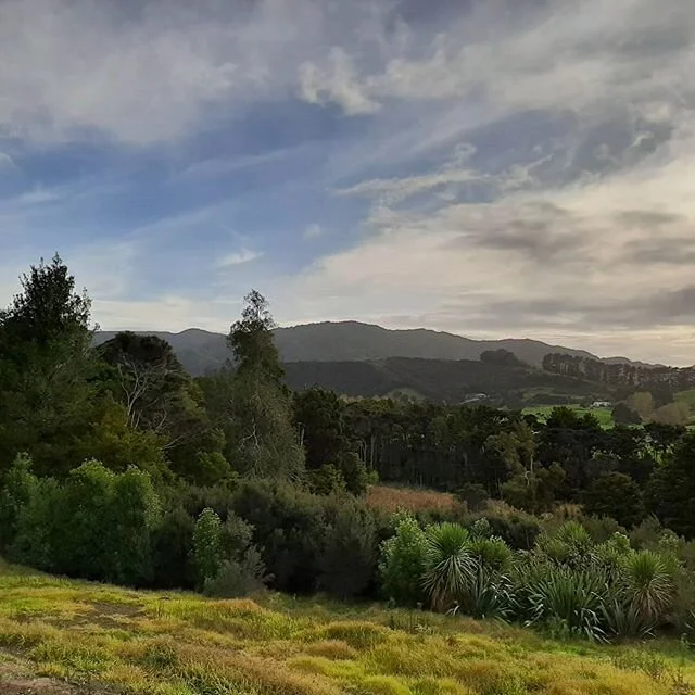 Framing the rural views on our latest build 👌
