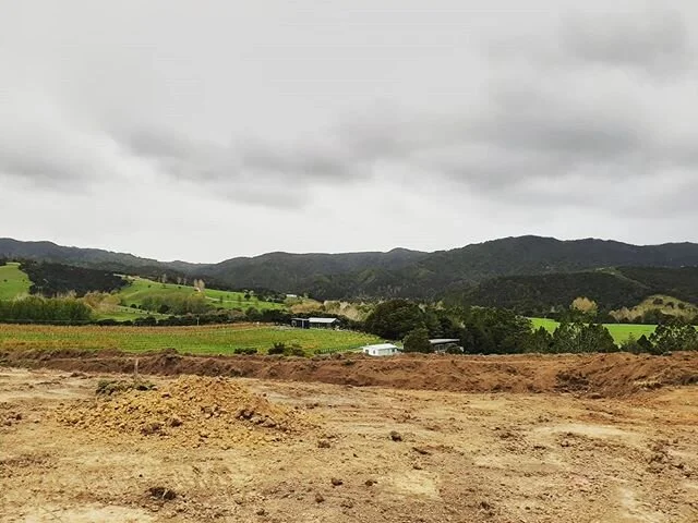 The first cut for our latest build with vineyard views and a moody sky 🌫