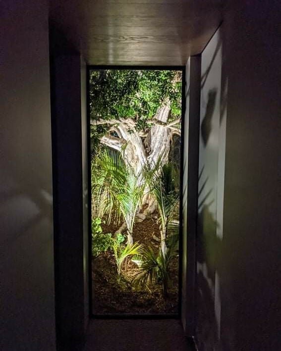 This house in Breamtail Farm was designed around a beautiful old Puriri tree #nzarchitecture #nzbuilders #landscapedesign