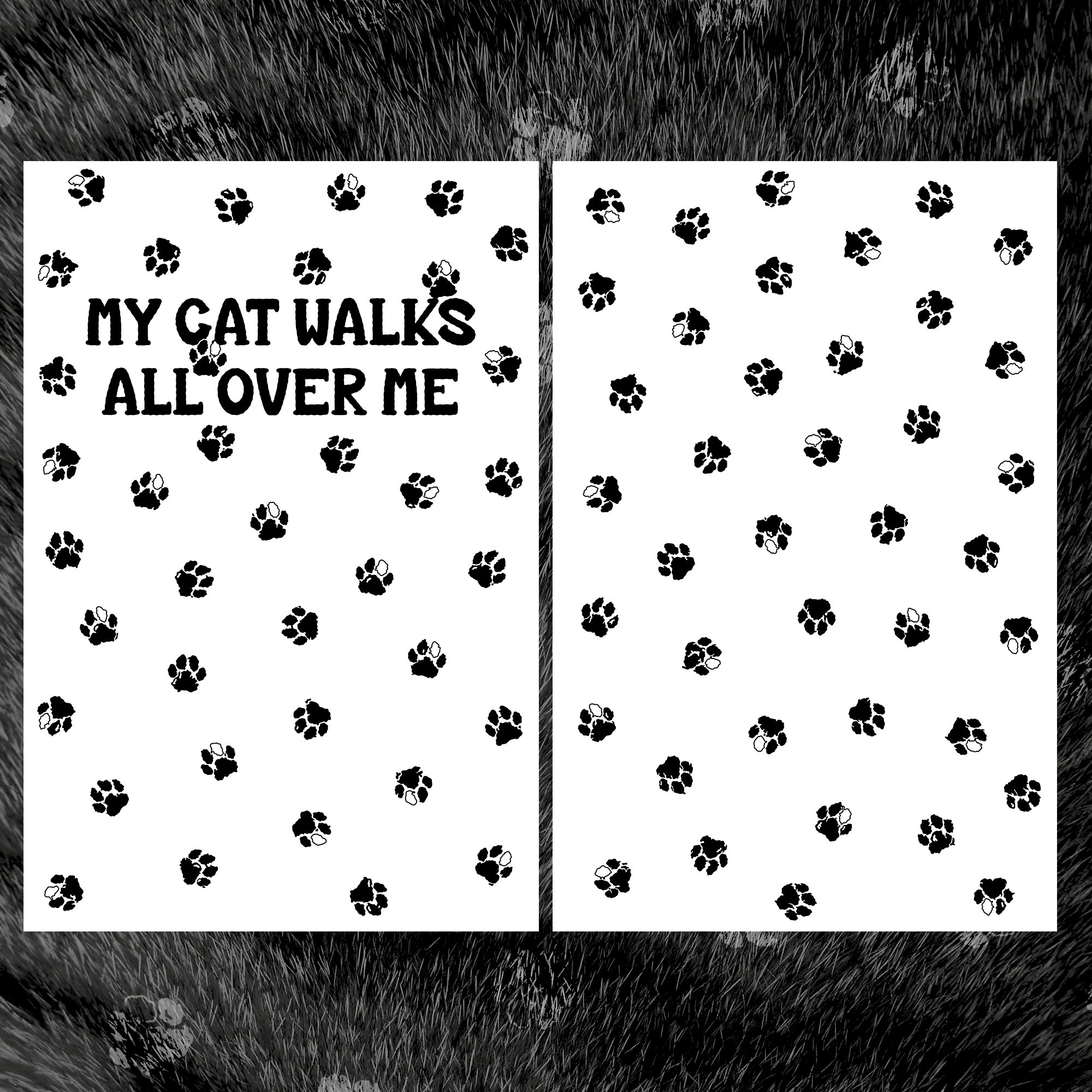 MY-CAT-WALKS-ALL-OVER-ME6.jpg