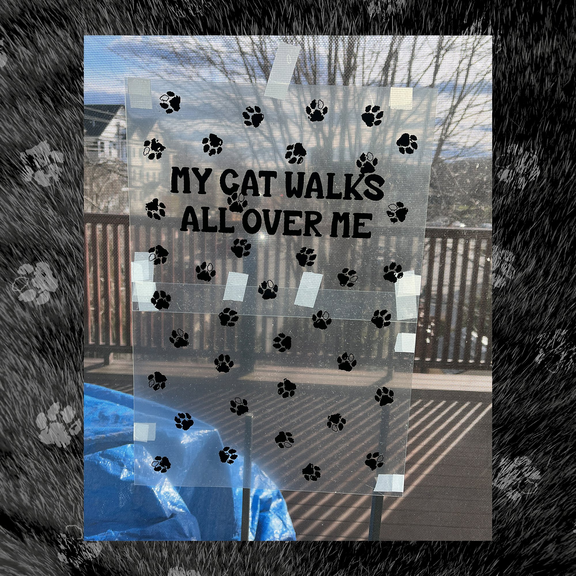 MY-CAT-WALKS-ALL-OVER-ME7.jpg