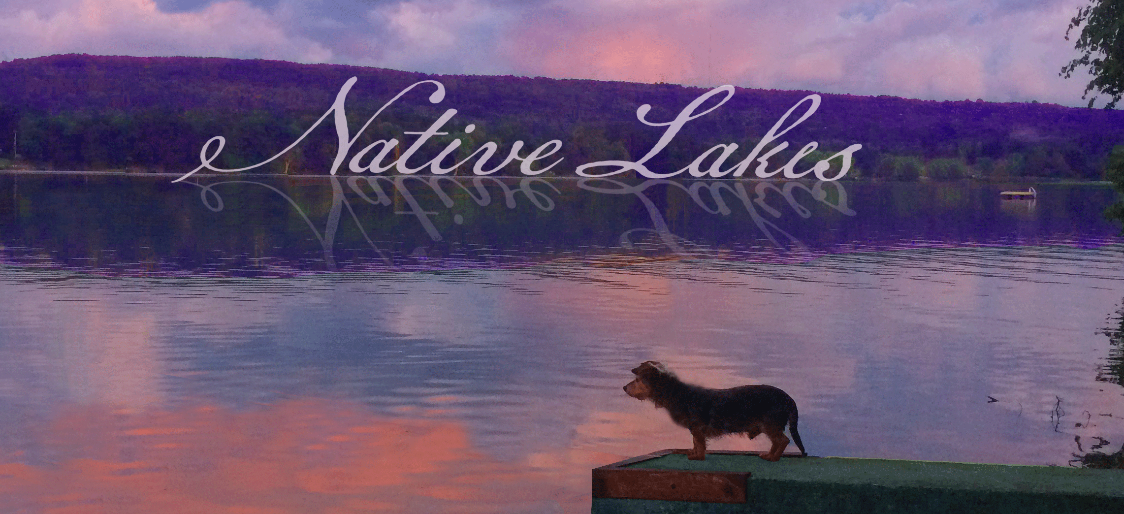 newheader4.png