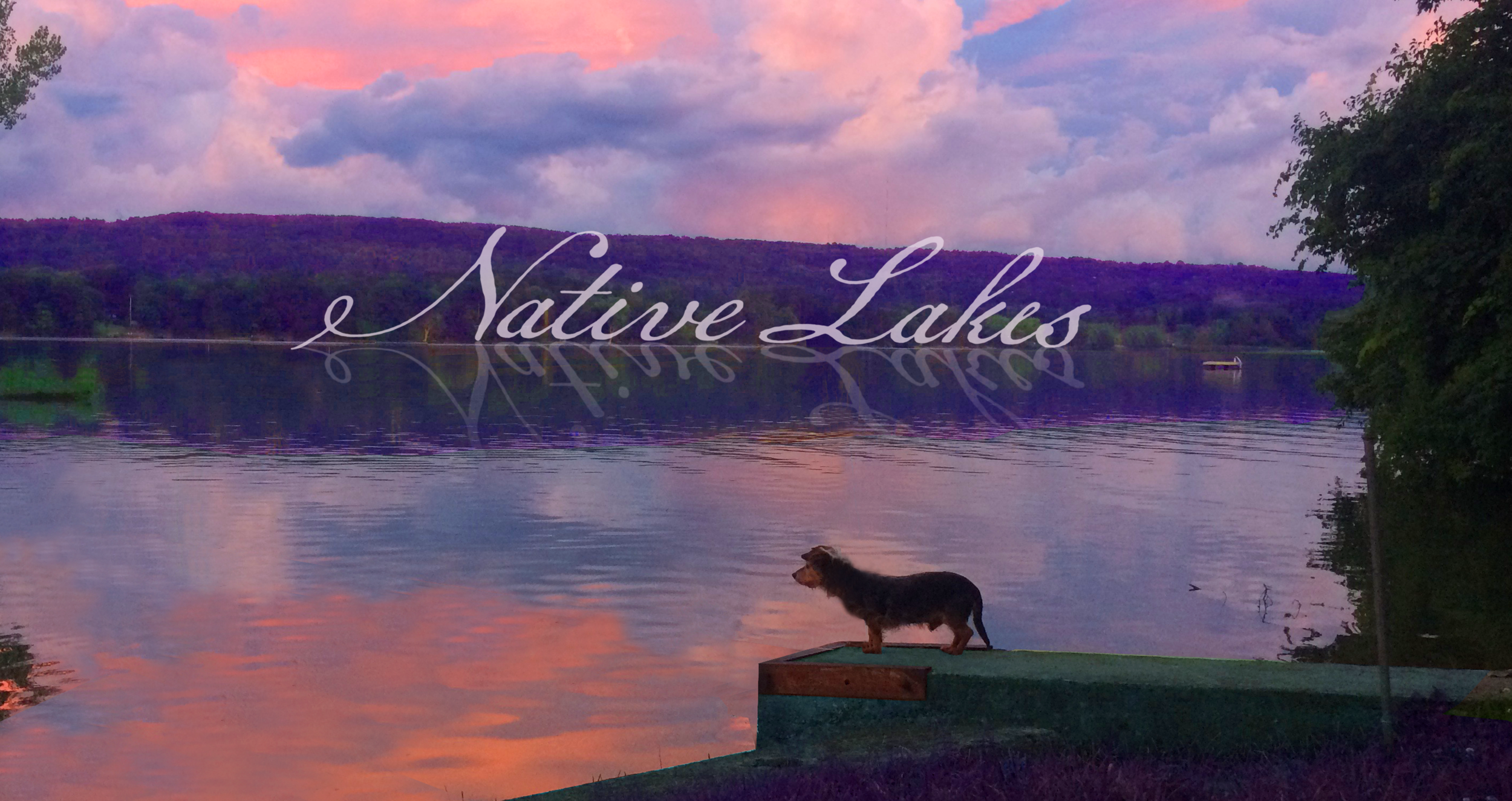newheader3.png