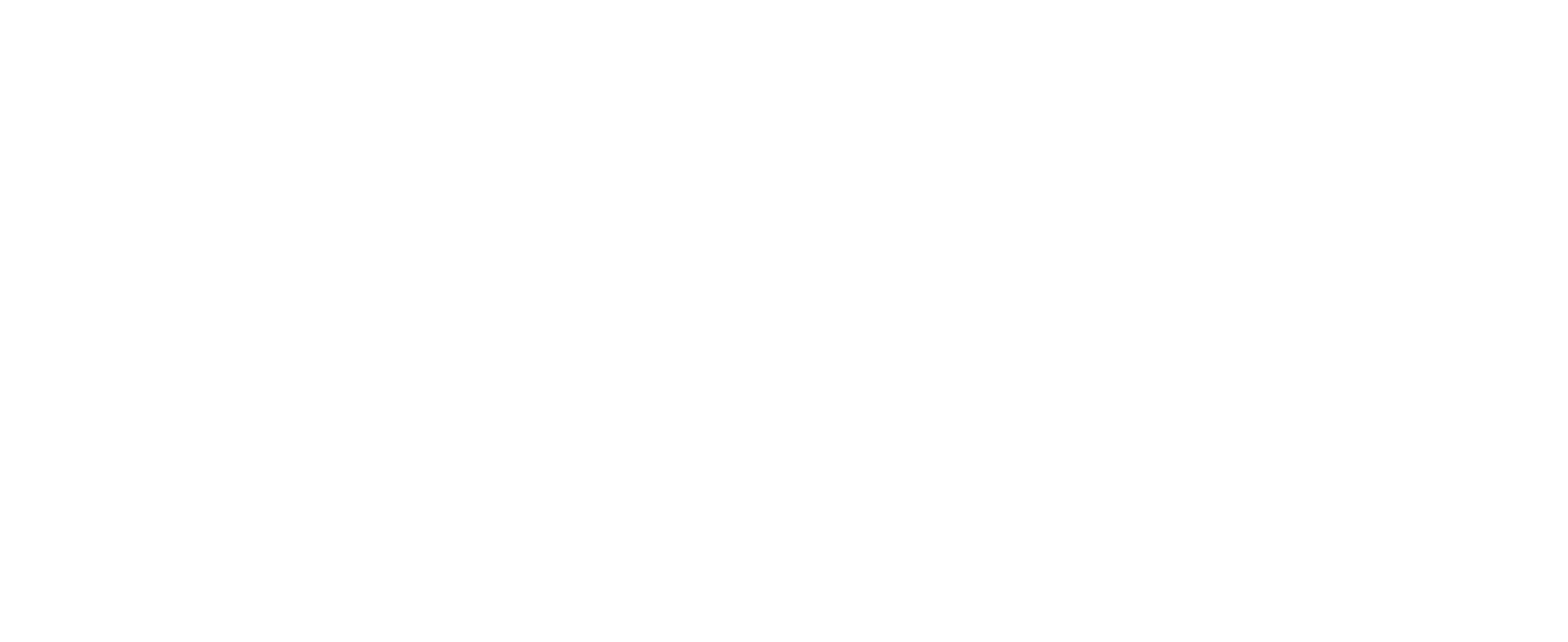 graffitilogovww-white.png