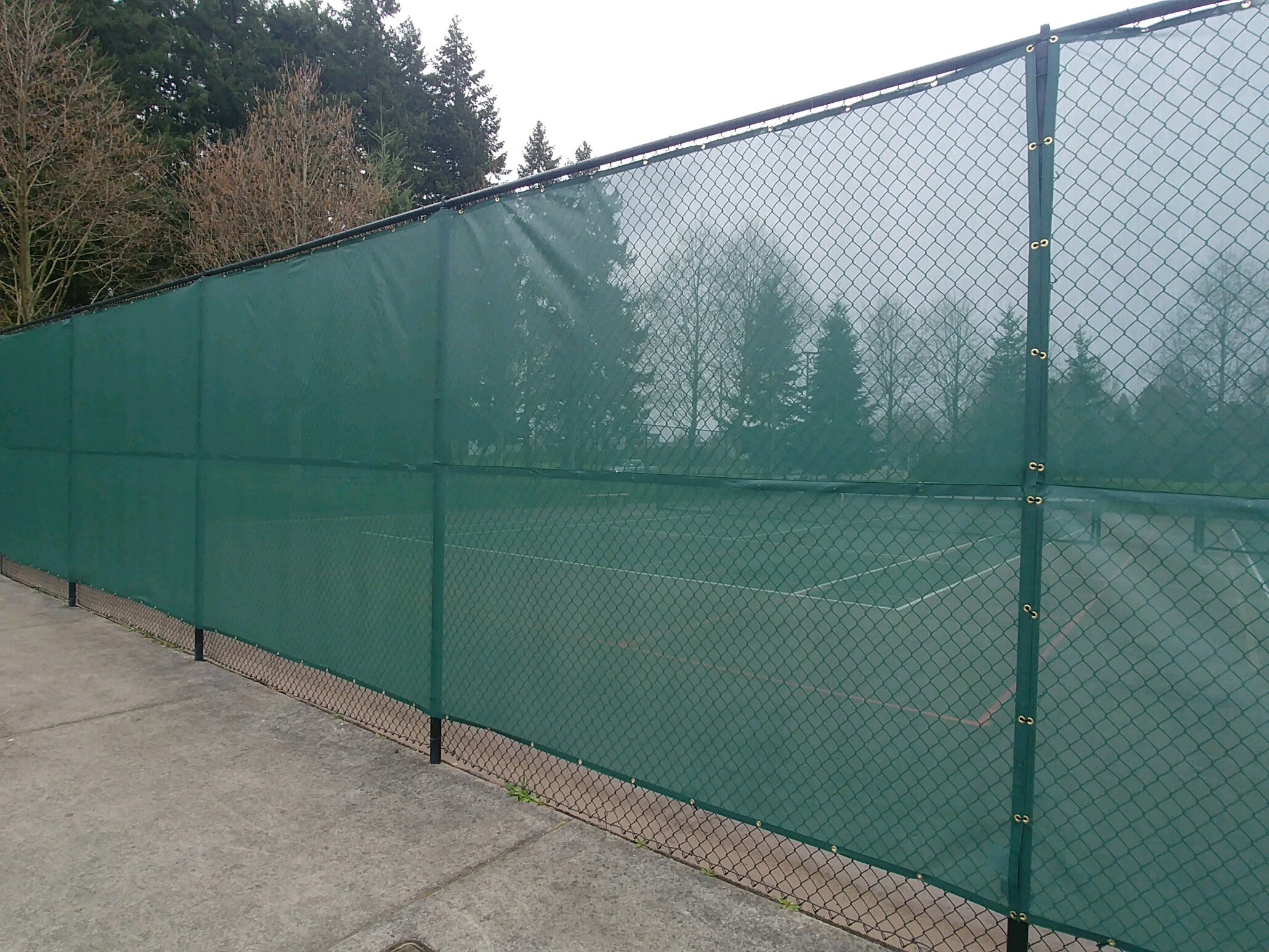 Court Net