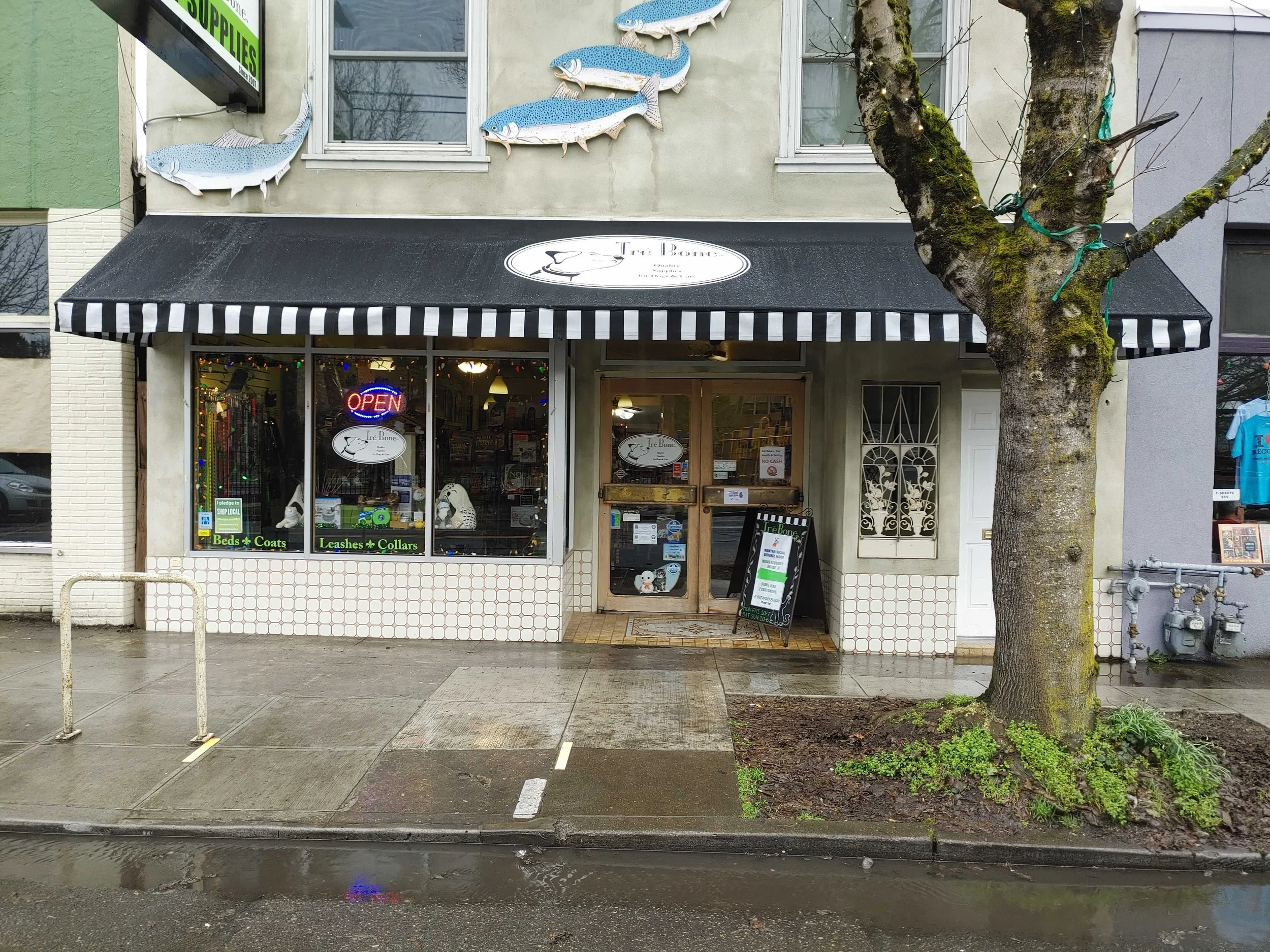 rose-city-awning-awning-pipe-frame-sunbrella-fabric-entry-business-pacific-northwest-portland-lake-oswego-west-linn-beaverton-tigard-vanvouver-washington.jpg.jpg