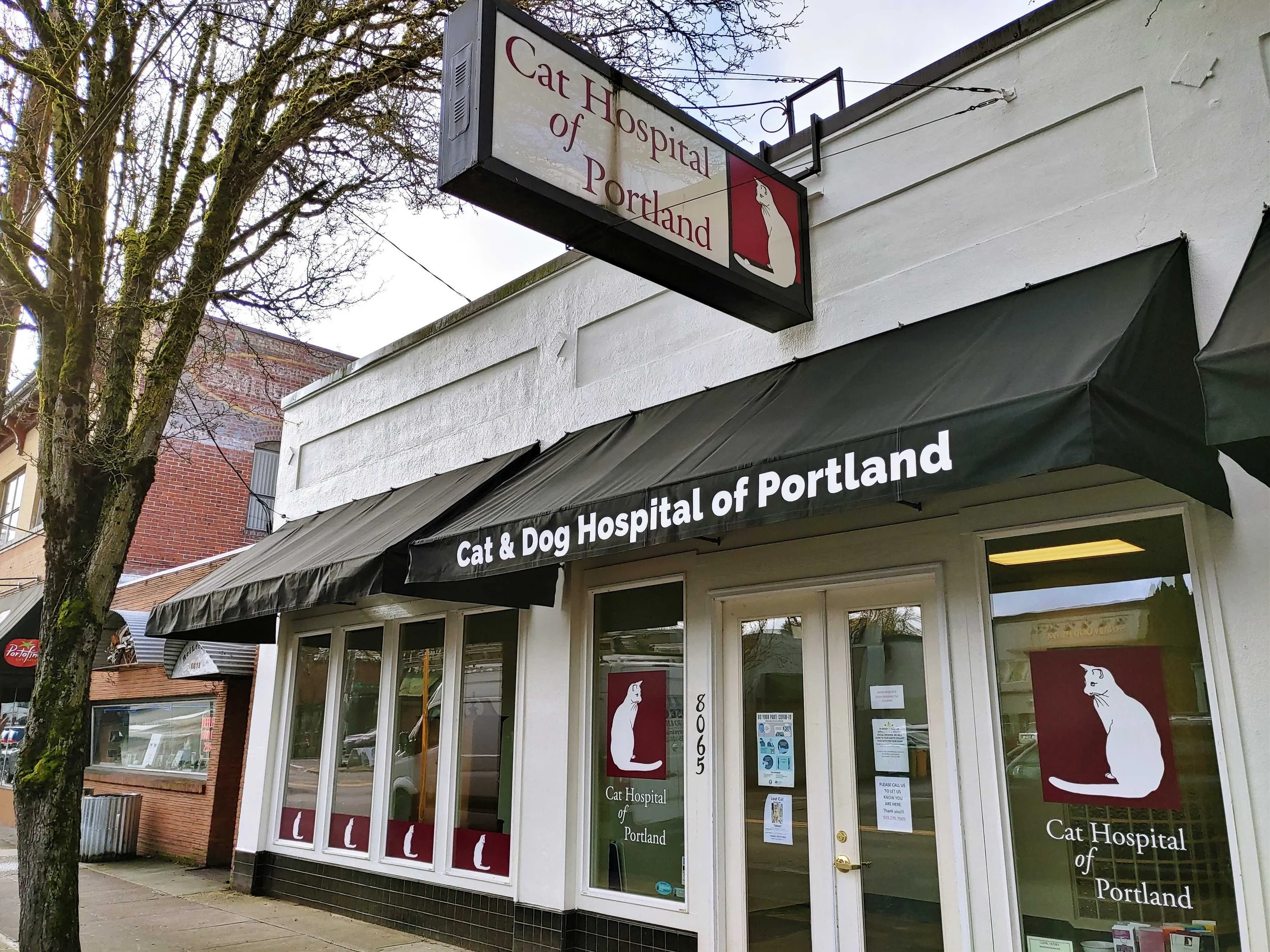 rose-city-awning-awning-pipe-frame-sunbrella-fabric-entry-business-pacific-northwest-portland-lake-oswego-west-linn-beaverton-tigard-vanvouver-washington.jpg.jpg