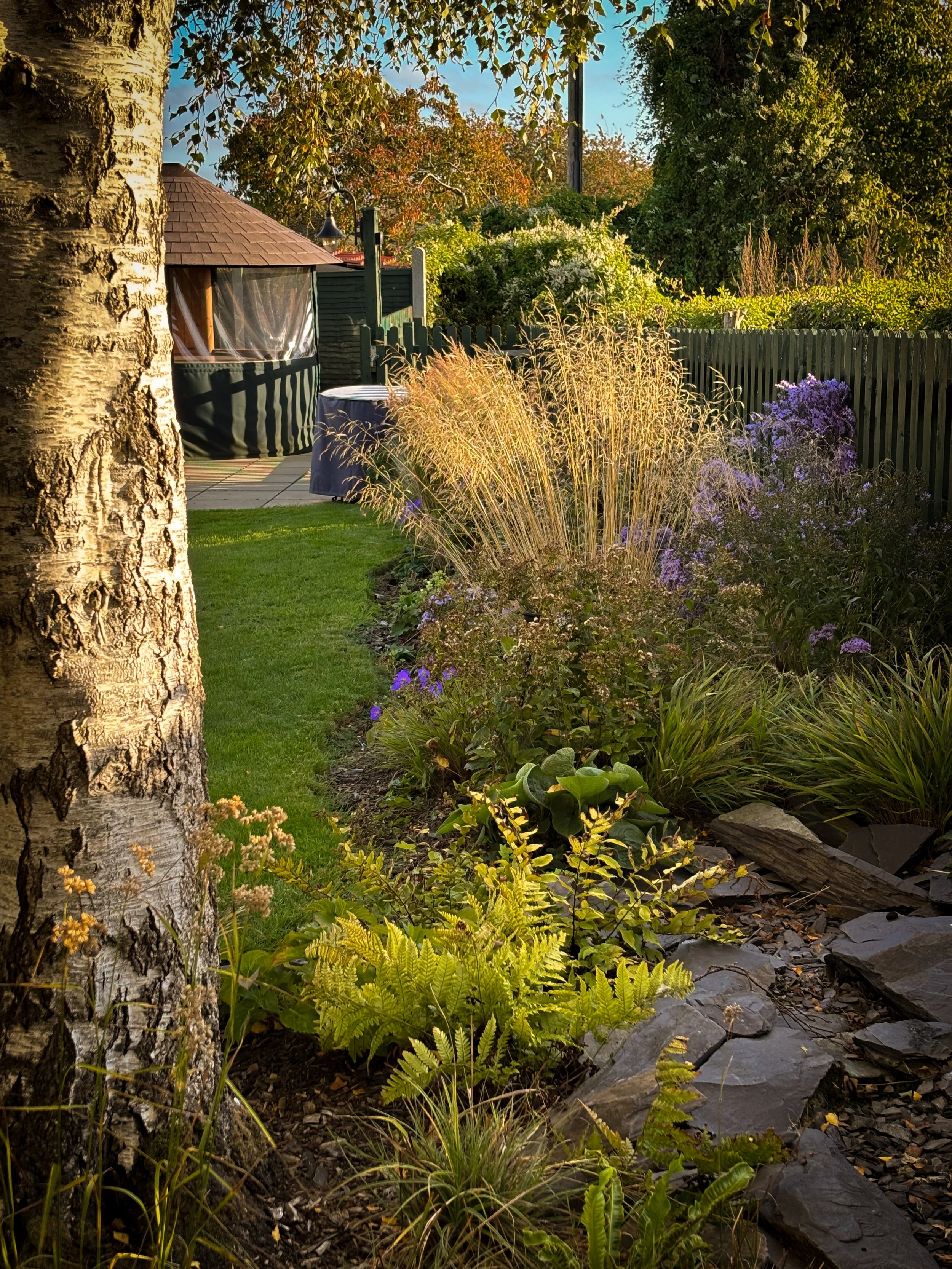 Grasses and flowering plants creating seasonal interest in Lopen, Somerset
