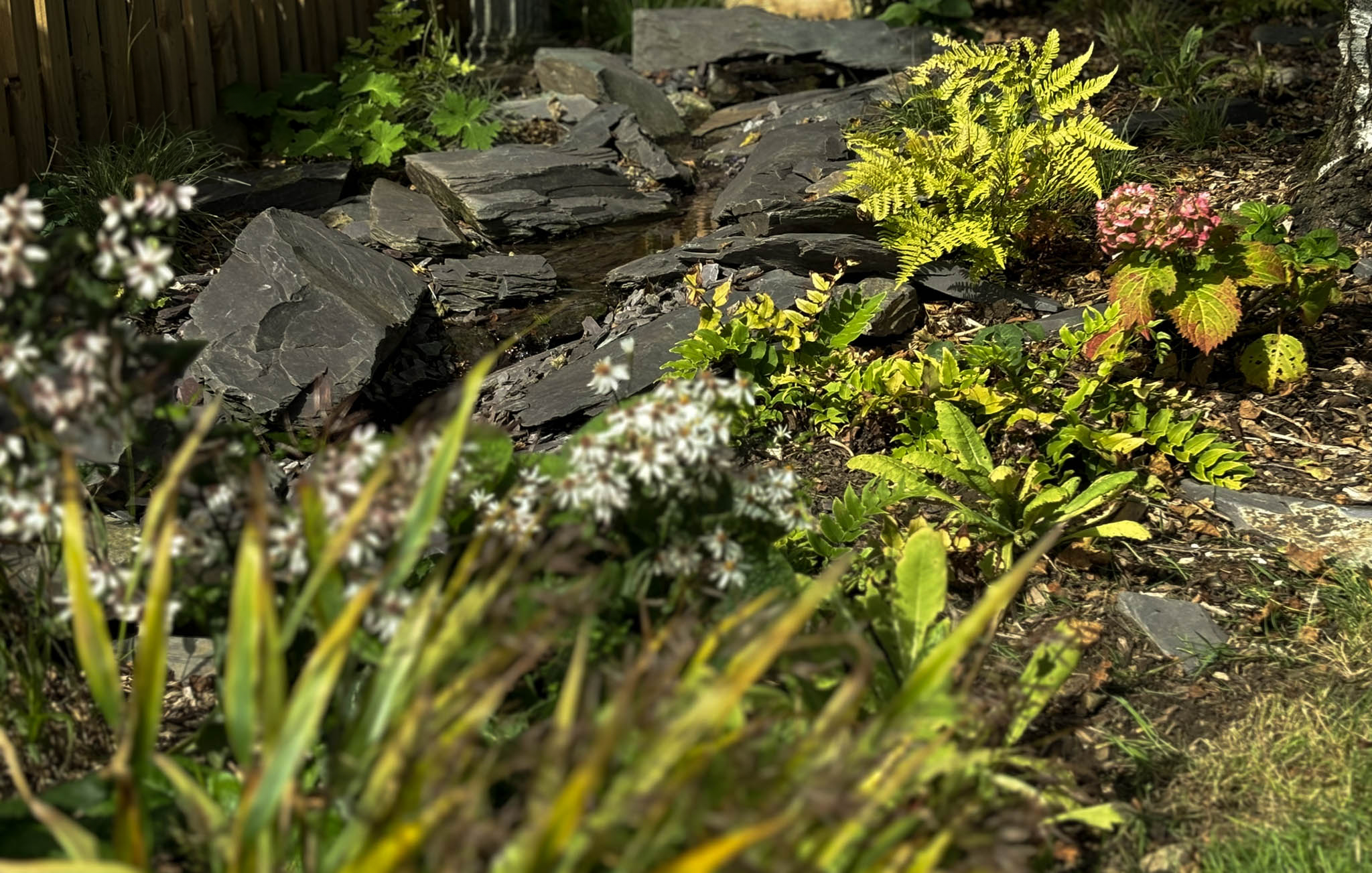Wildlife-friendly planting and a slate water feature in a Somerset garden