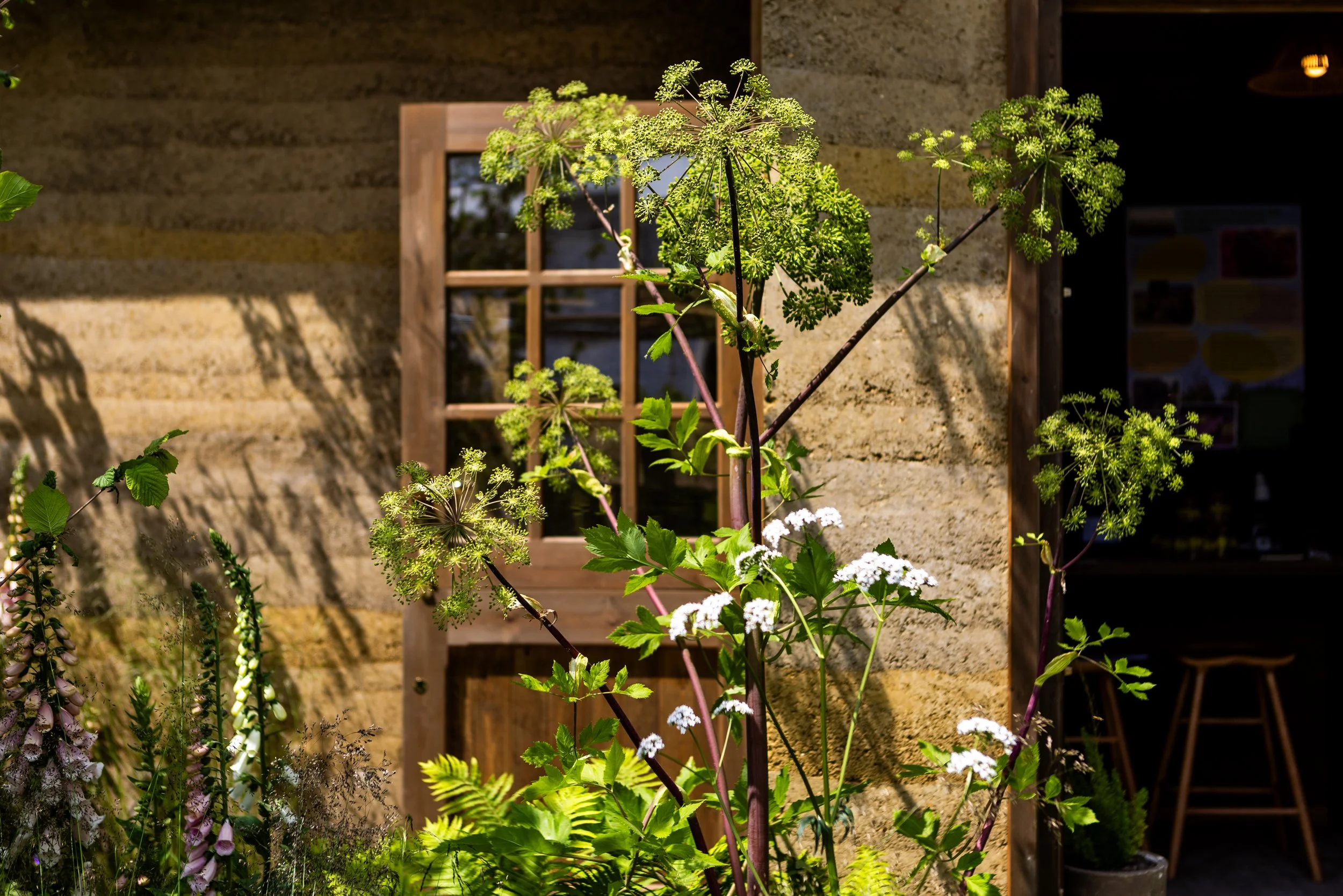 Butler and parkers design of rammed earth building at Chelsea flower show
