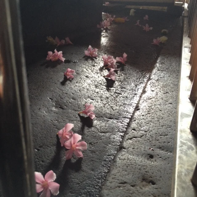 India, 2014
