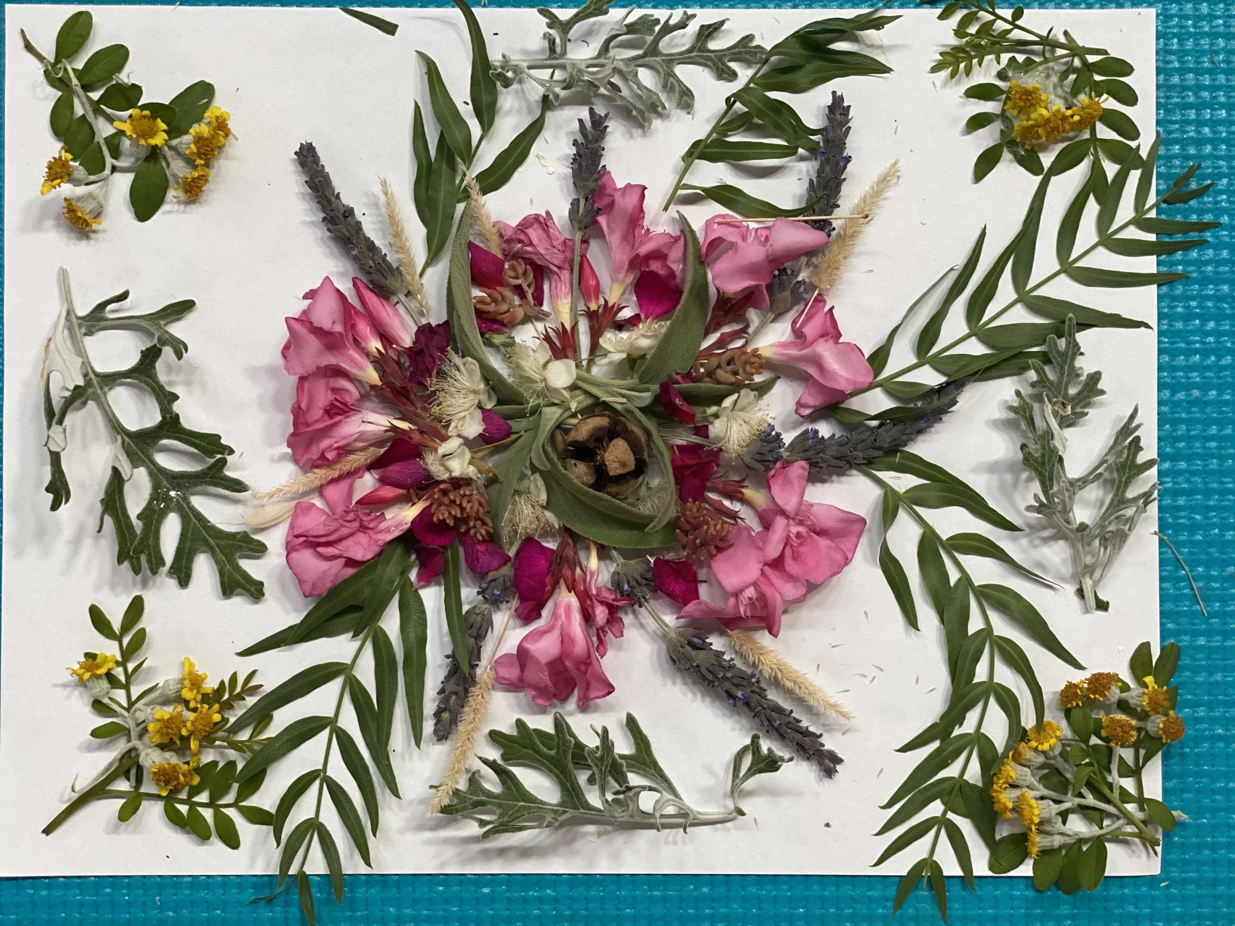 Nature Mandalas 3
