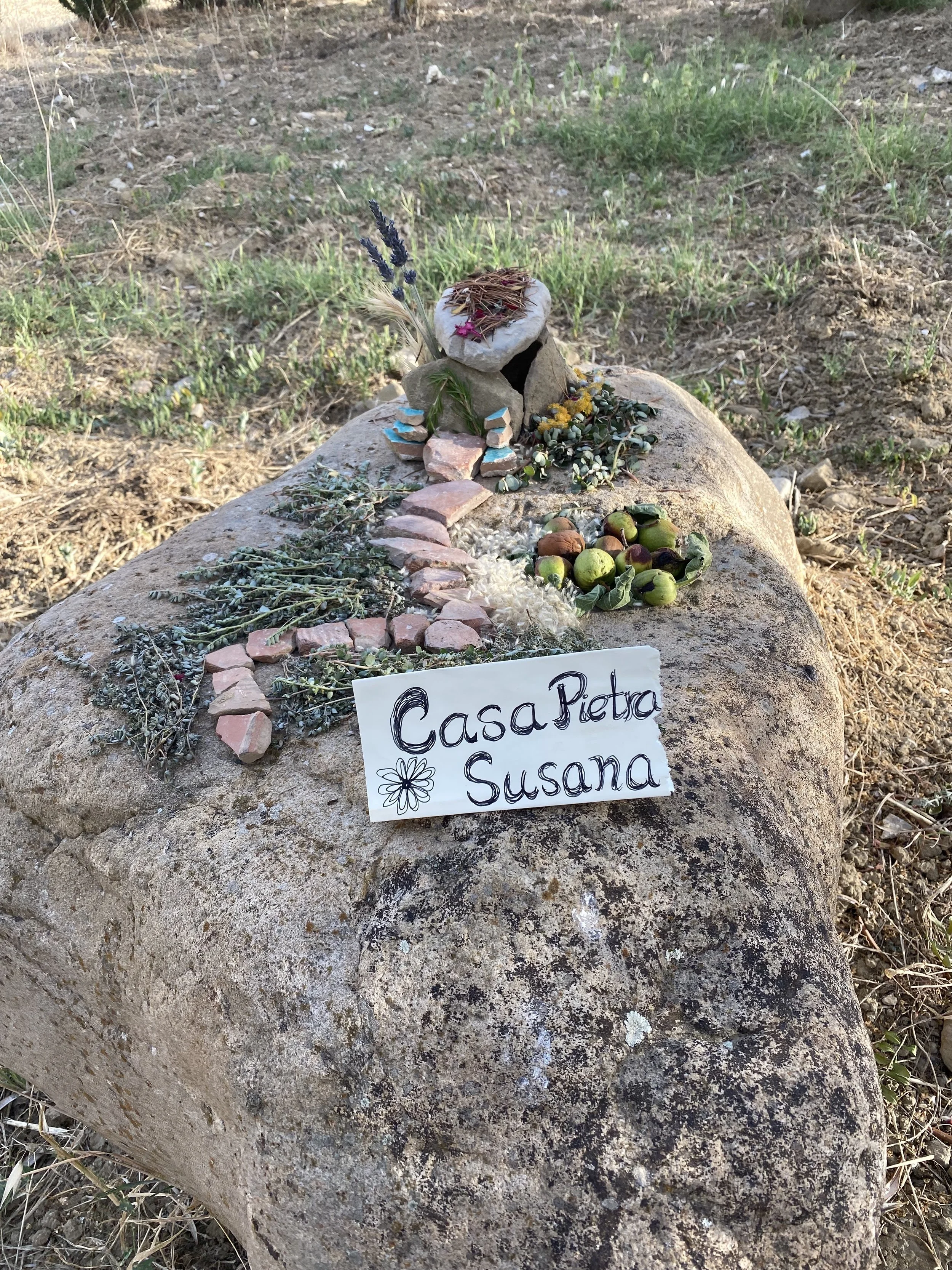 Fairy Houses