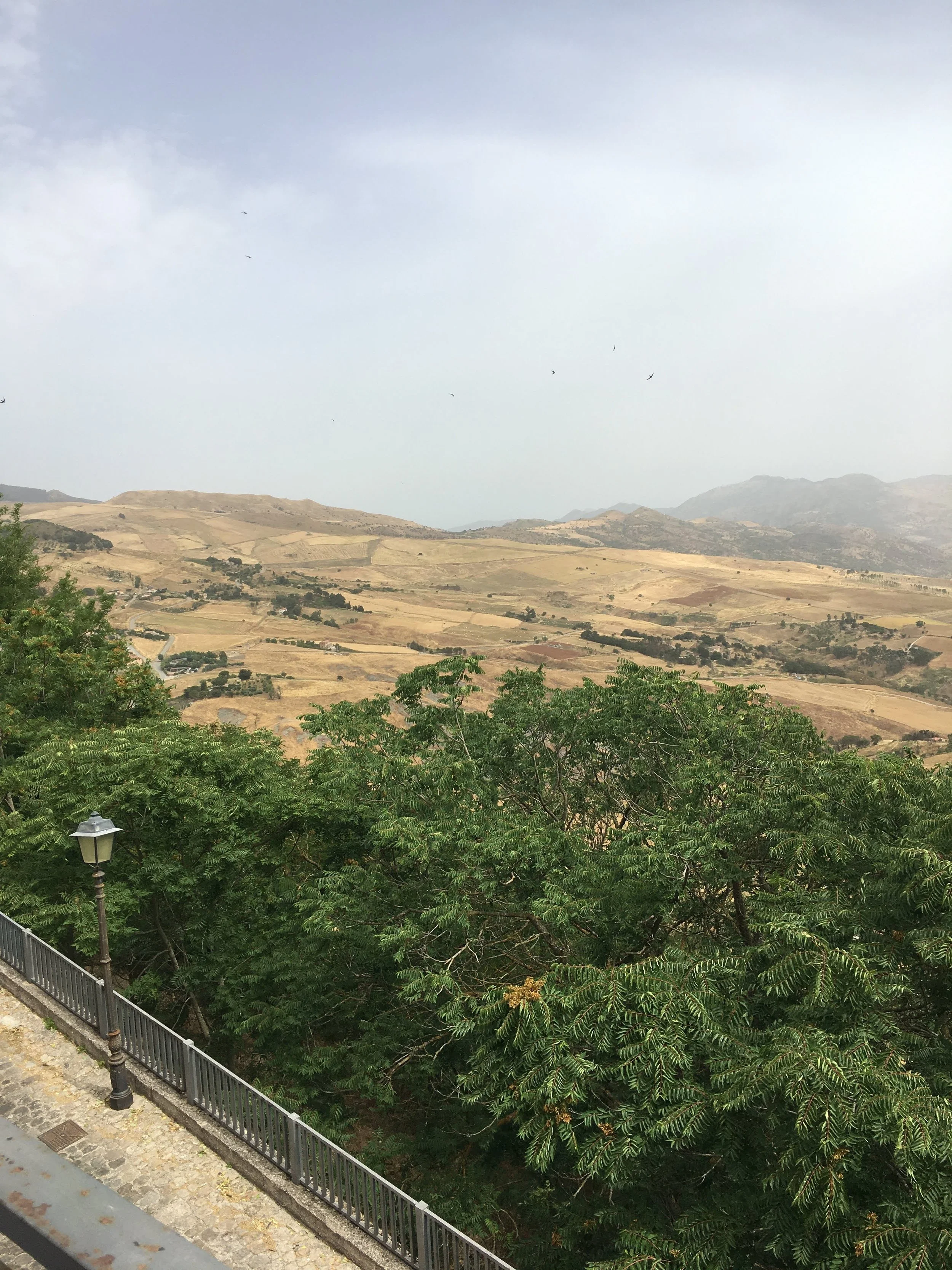Gangi--Belle Vedere
