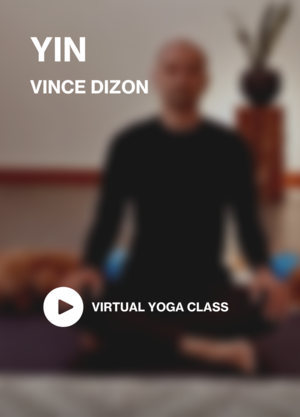 yin-vince-2.png
